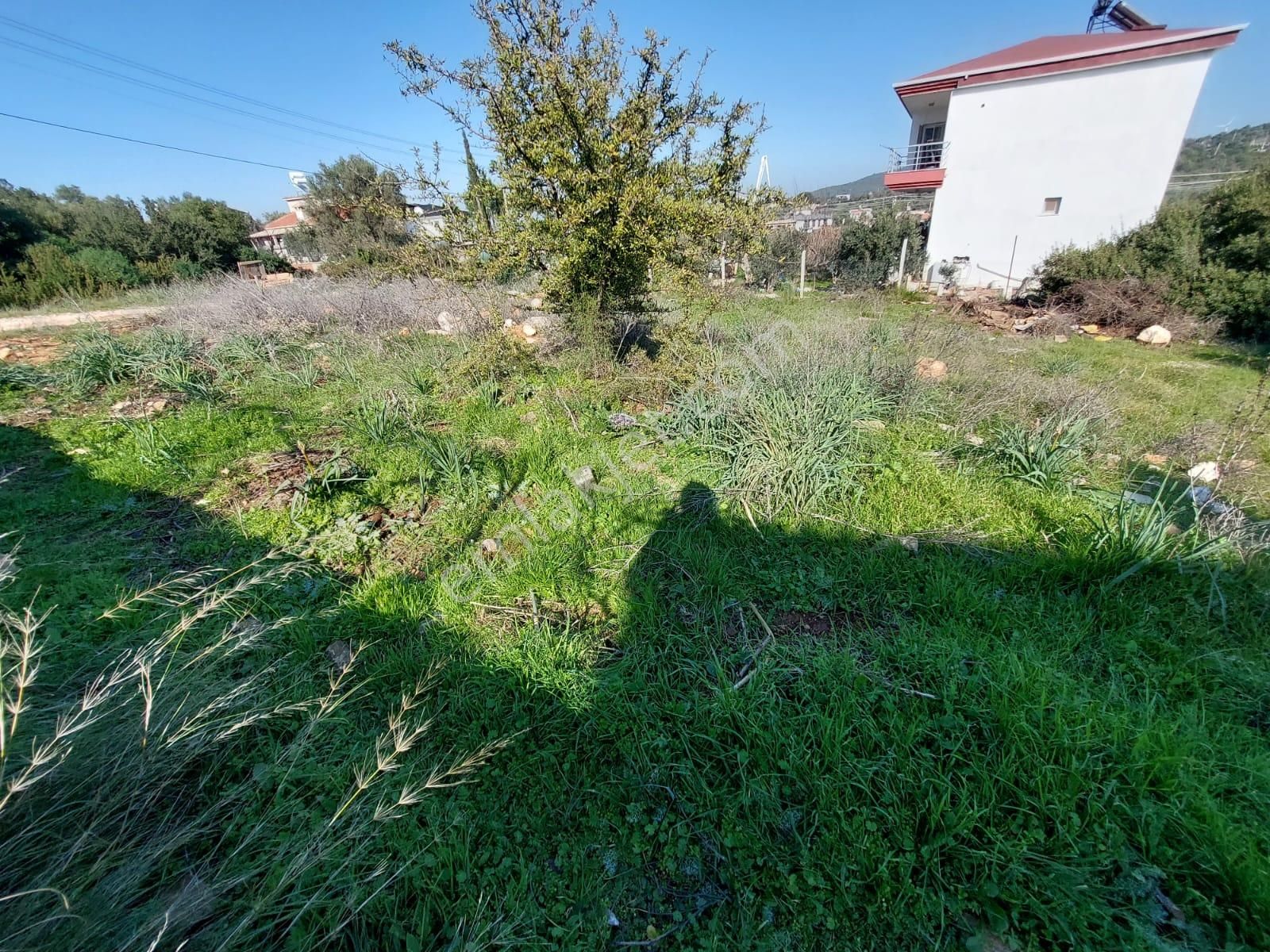 Didim Akyeniköy Yeşiltepe De 733 M2 Villa Arsası - Görsel 6