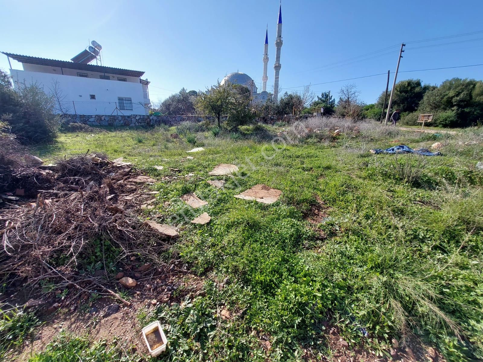 Didim Akyeniköy Yeşiltepe De 733 M2 Villa Arsası - Görsel 12