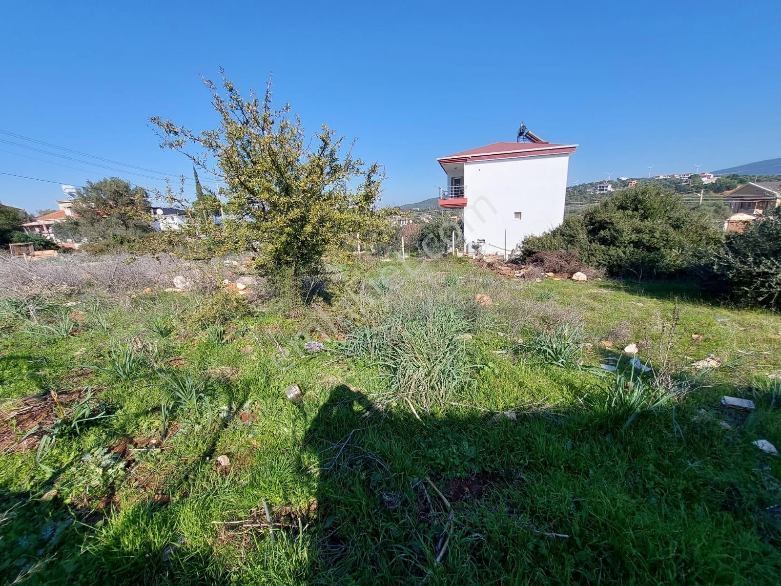 Didim Akyeniköy Yeşiltepe De 733 M2 Villa Arsası