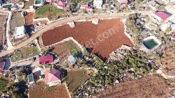Erdemli Yeniyurt Yaylasında 5 Parsele Bölünmüş Satılık Arsa...