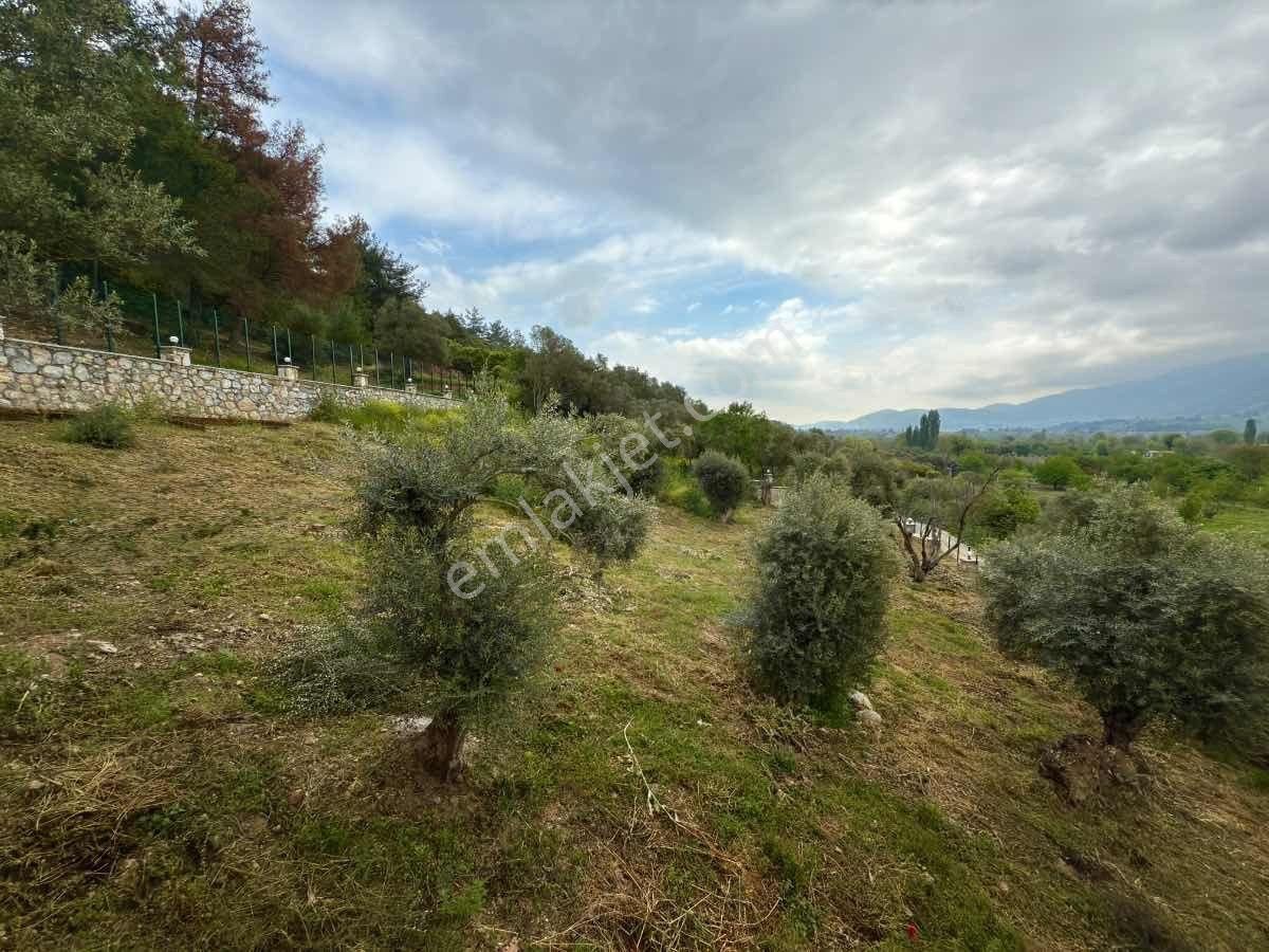 Önü Doğa Manzarası Arkası Orman. 1. Sınıf Malzeme Ve Işçılıklı Taş Ev! - Görsel 7