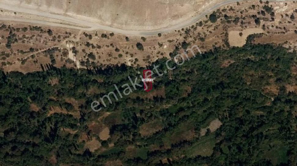 Meram Kilistra Da 310 M2 Müstakil Bahçe