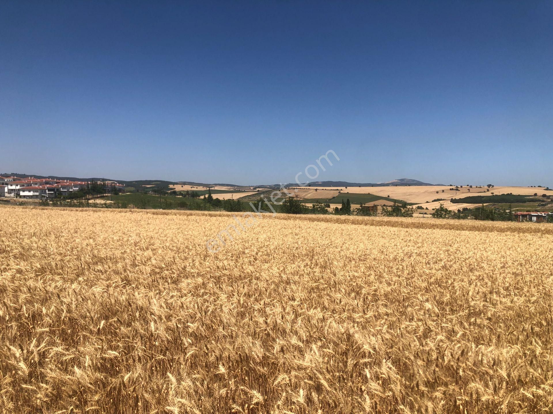 Şarköy De Işık Emlaktan İstiklal Mah De 372 M2 0/25 İmarlı Arsa - Görsel 9