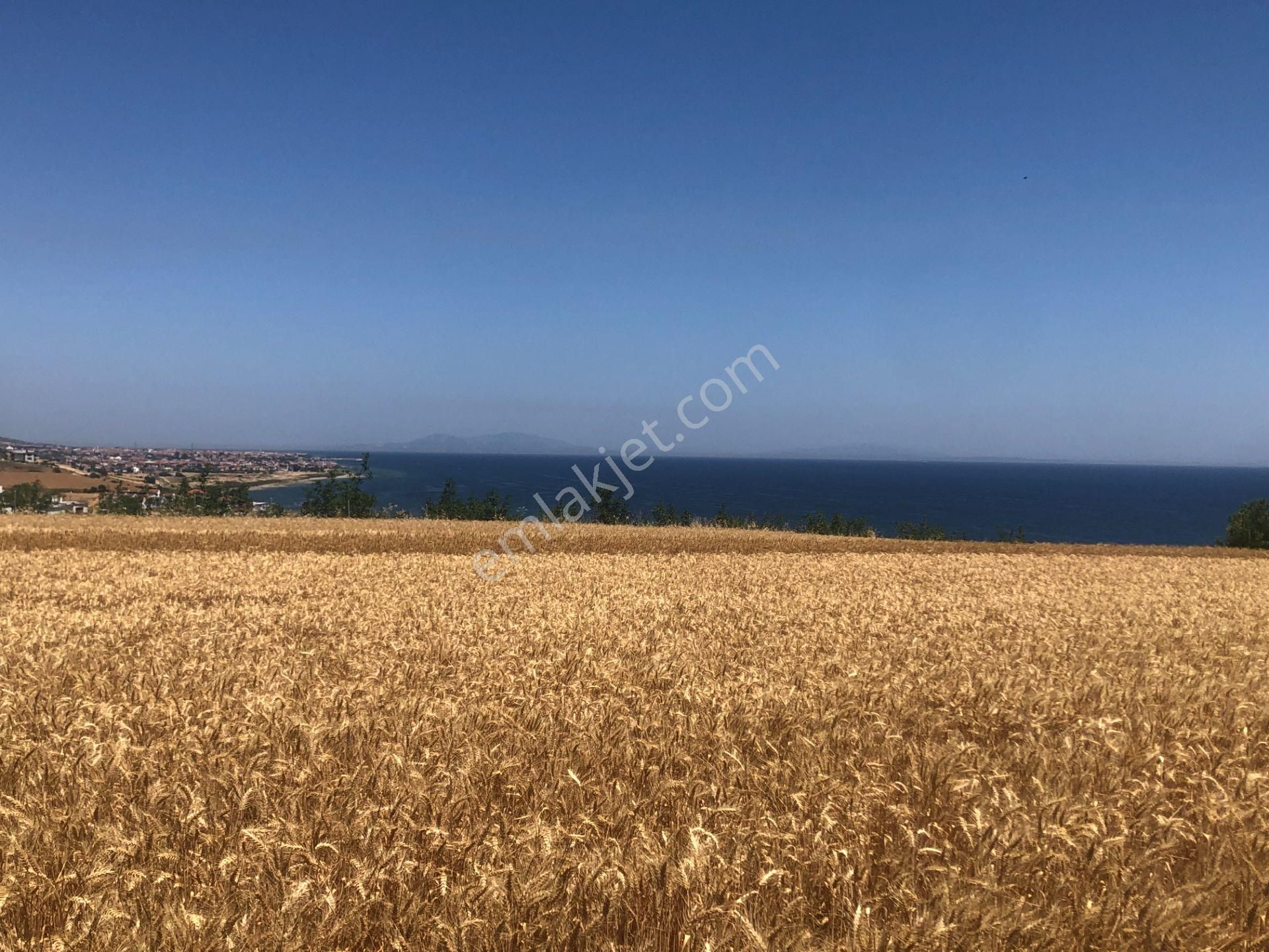 Şarköy De Işık Emlaktan İstiklal Mah De 372 M2 0/25 İmarlı Arsa - Görsel 5