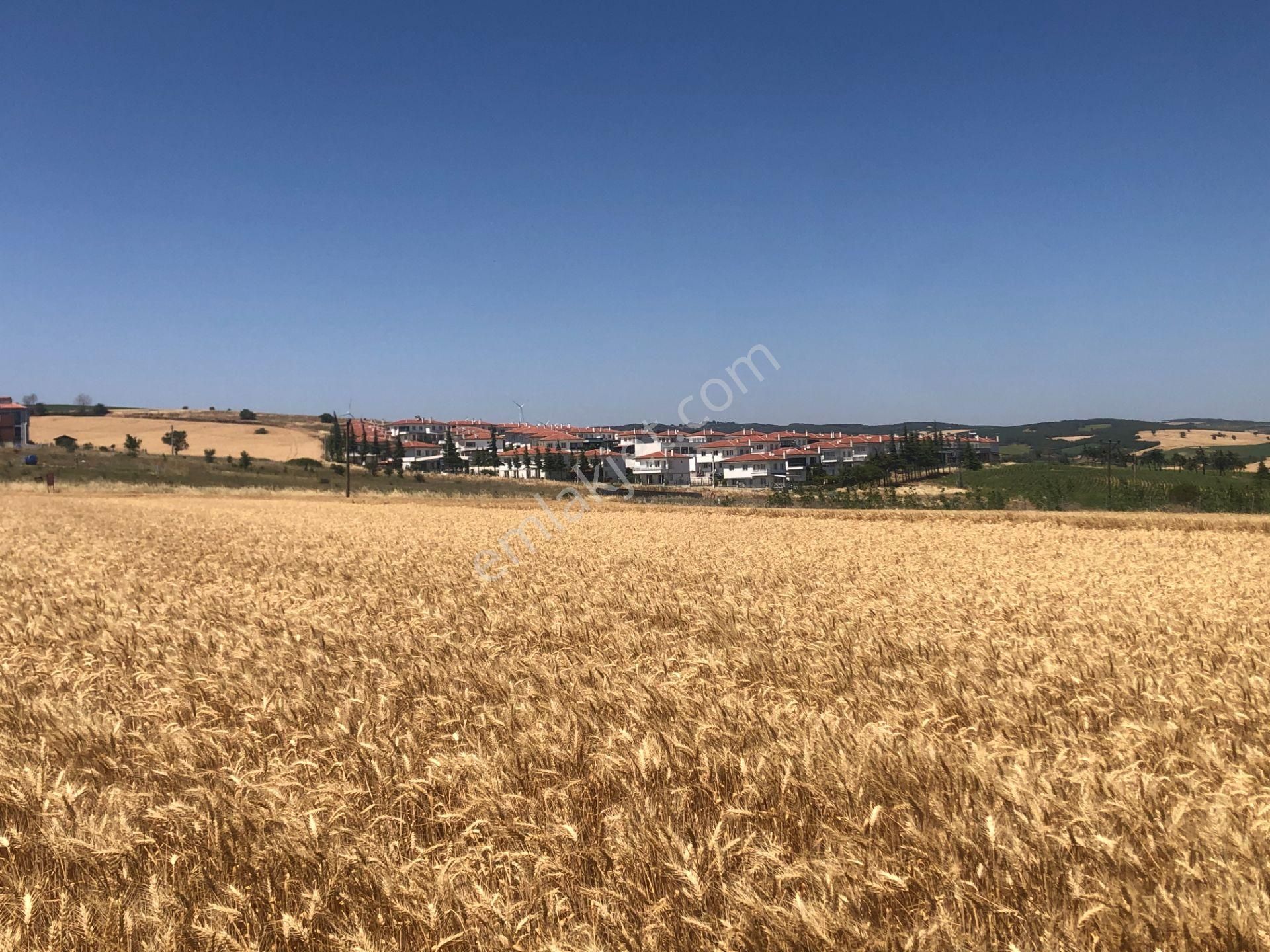 Şarköy De Işık Emlaktan İstiklal Mah De 372 M2 0/25 İmarlı Arsa - Görsel 4