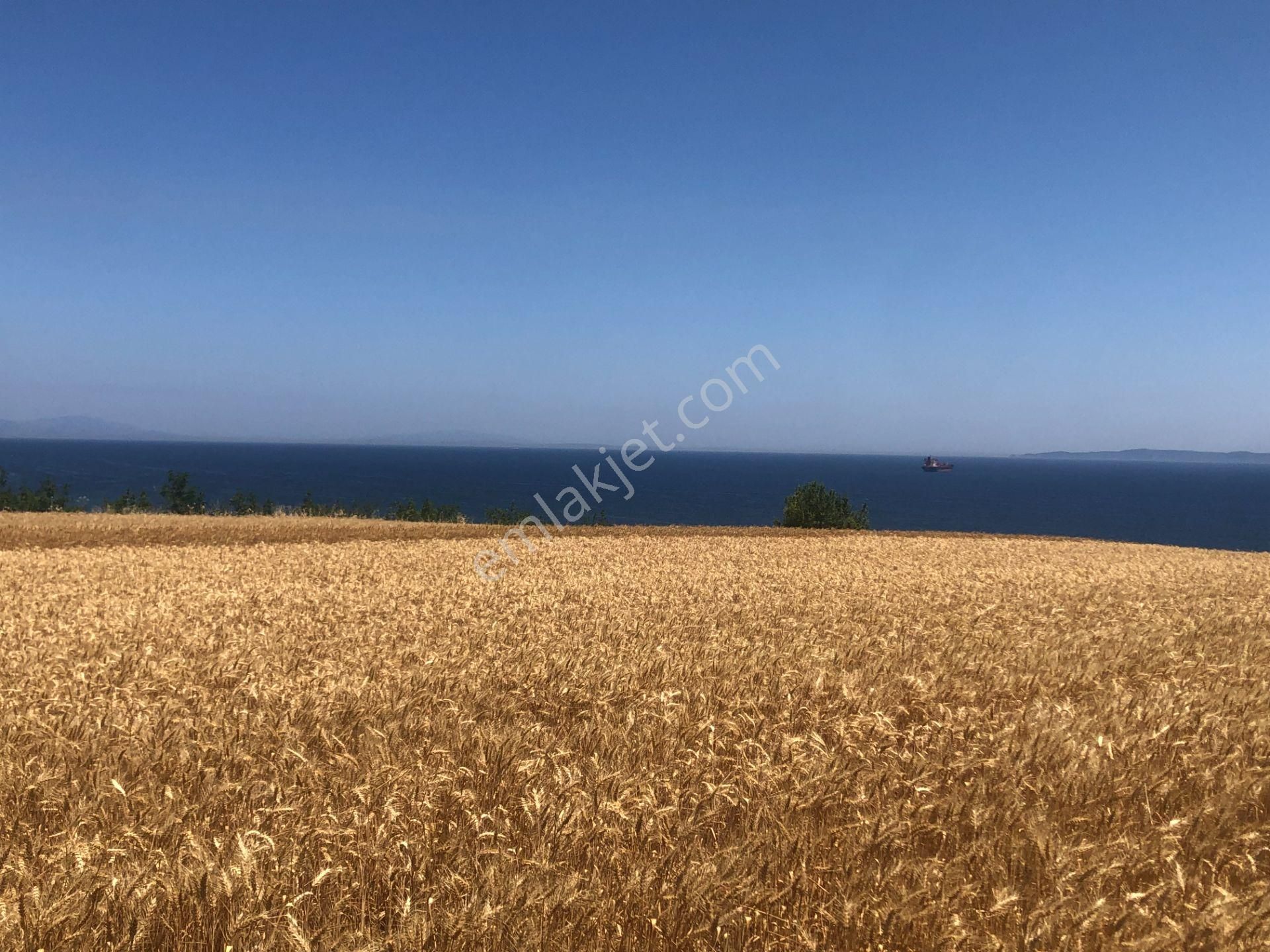 Şarköy De Işık Emlaktan İstiklal Mah De 372 M2 0/25 İmarlı Arsa - Görsel 6