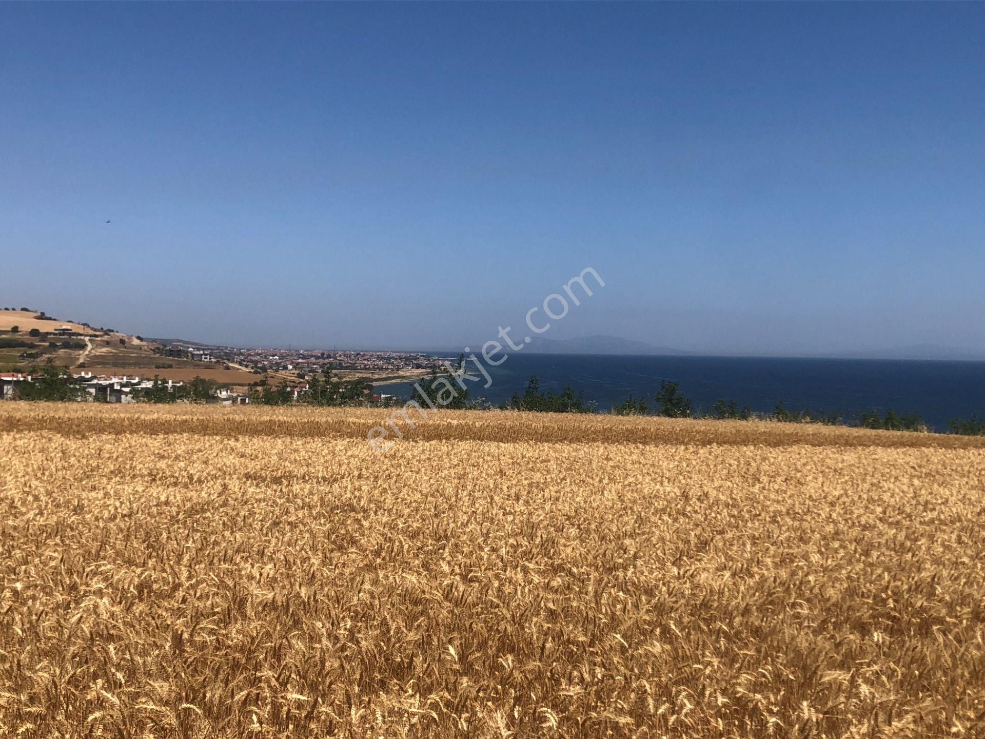 Şarköy De Işık Emlaktan İstiklal Mah De 372 M2 0/25 İmarlı Arsa