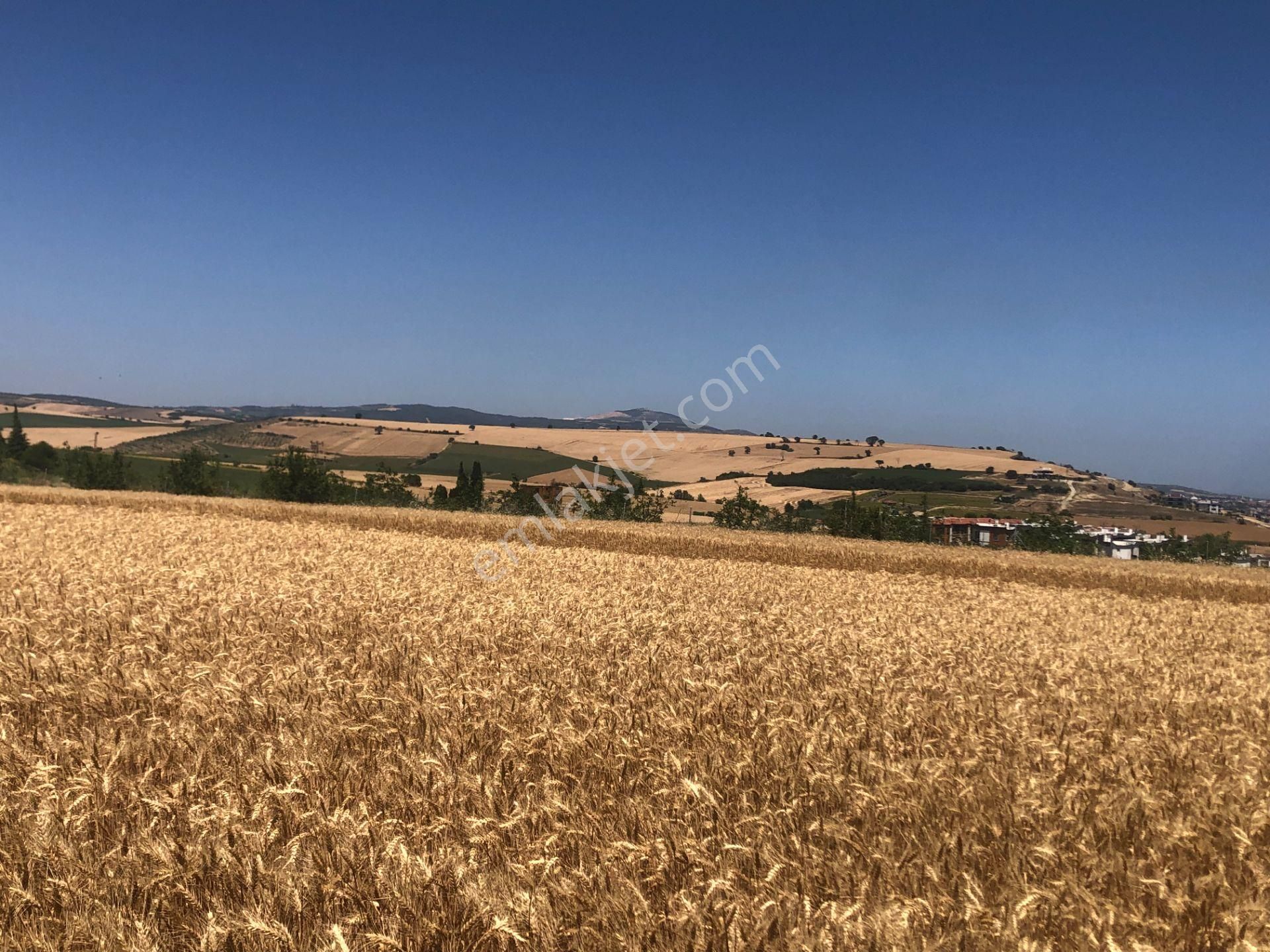 Şarköy De Işık Emlaktan İstiklal Mah De 372 M2 0/25 İmarlı Arsa - Görsel 8