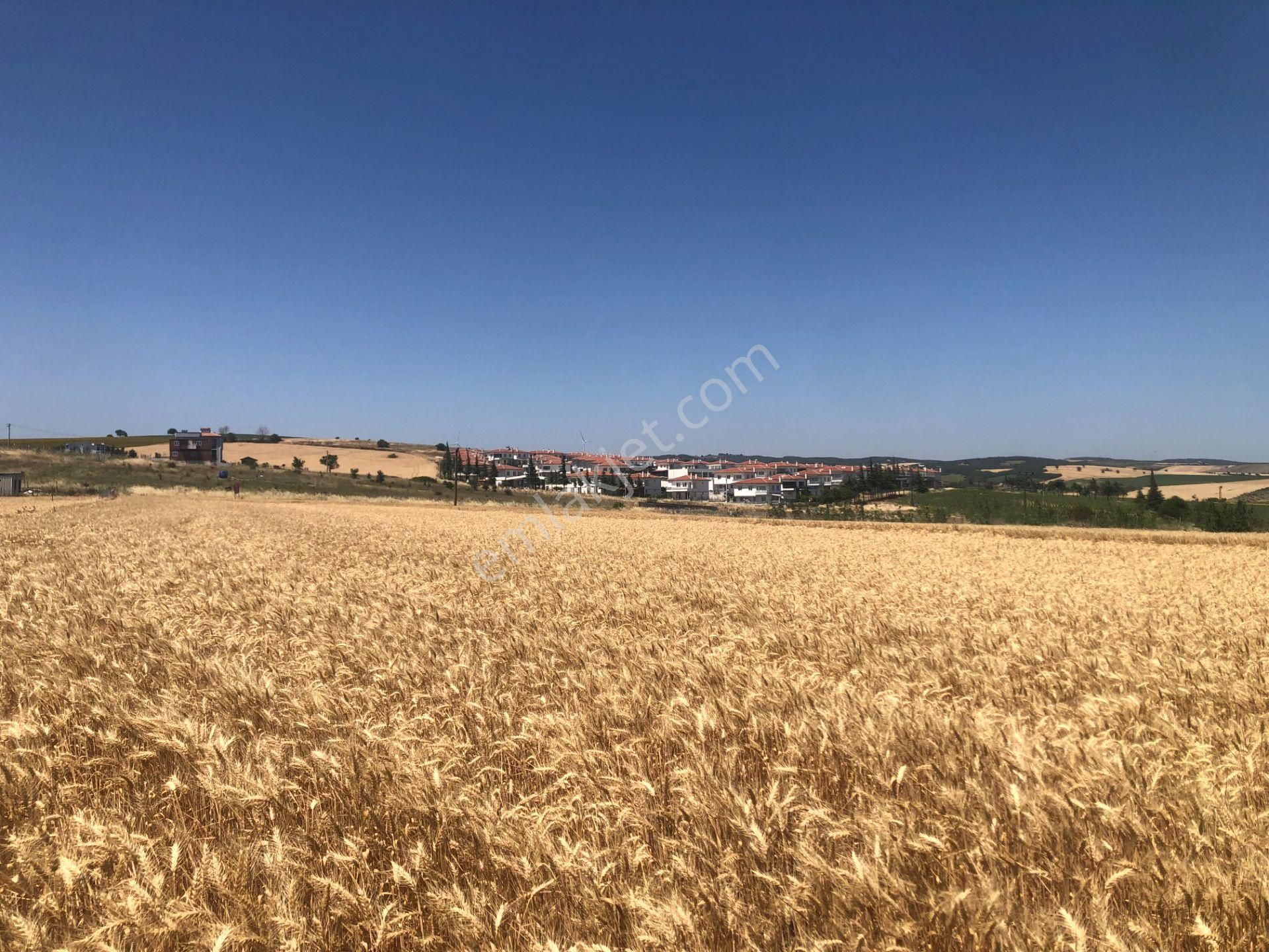 Şarköy De Işık Emlaktan İstiklal Mah De 372 M2 0/25 İmarlı Arsa - Görsel 12