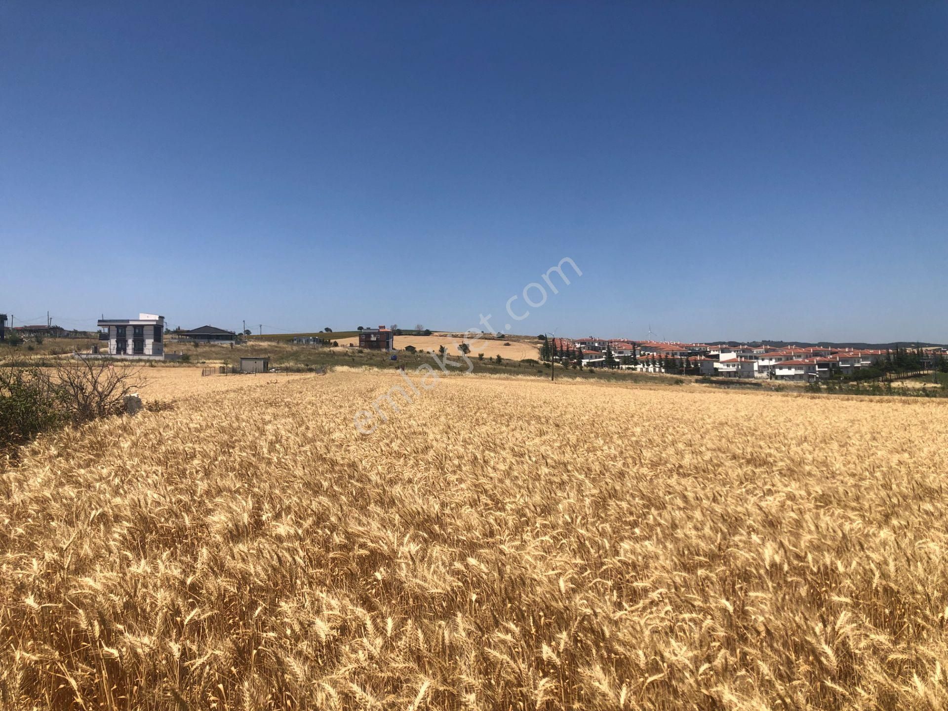 Şarköy De Işık Emlaktan İstiklal Mah De 372 M2 0/25 İmarlı Arsa - Görsel 13