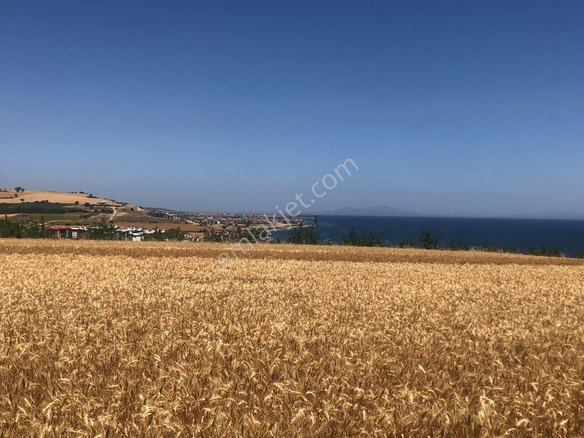 Şarköy De Işık Emlaktan İstiklal Mah De 372 M2 0/25 İmarlı Arsa - Görsel 10