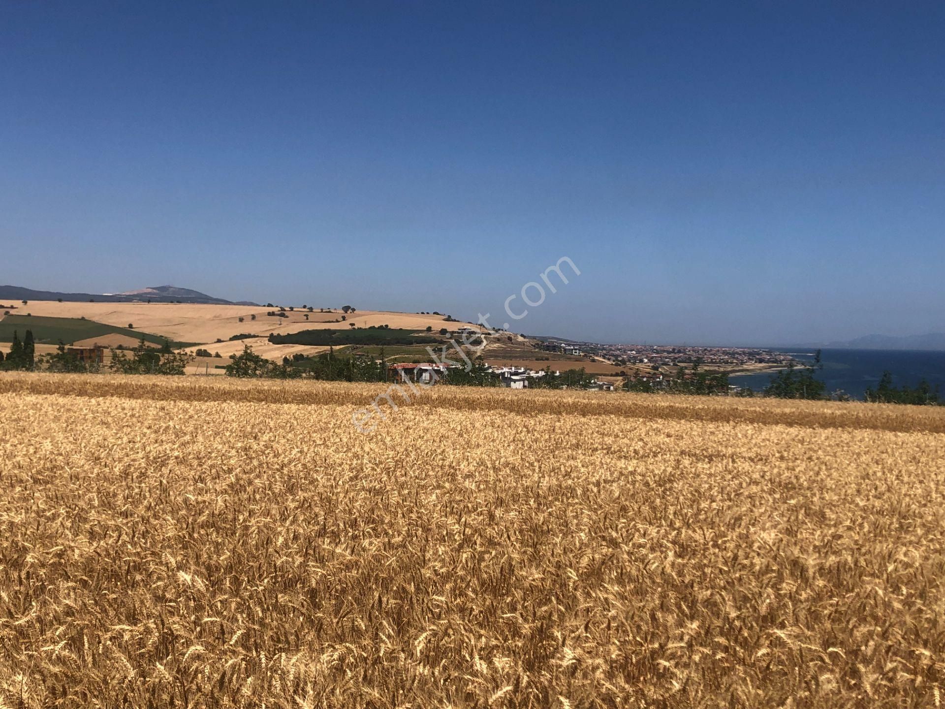 Şarköy De Işık Emlaktan İstiklal Mah De 372 M2 0/25 İmarlı Arsa - Görsel 7