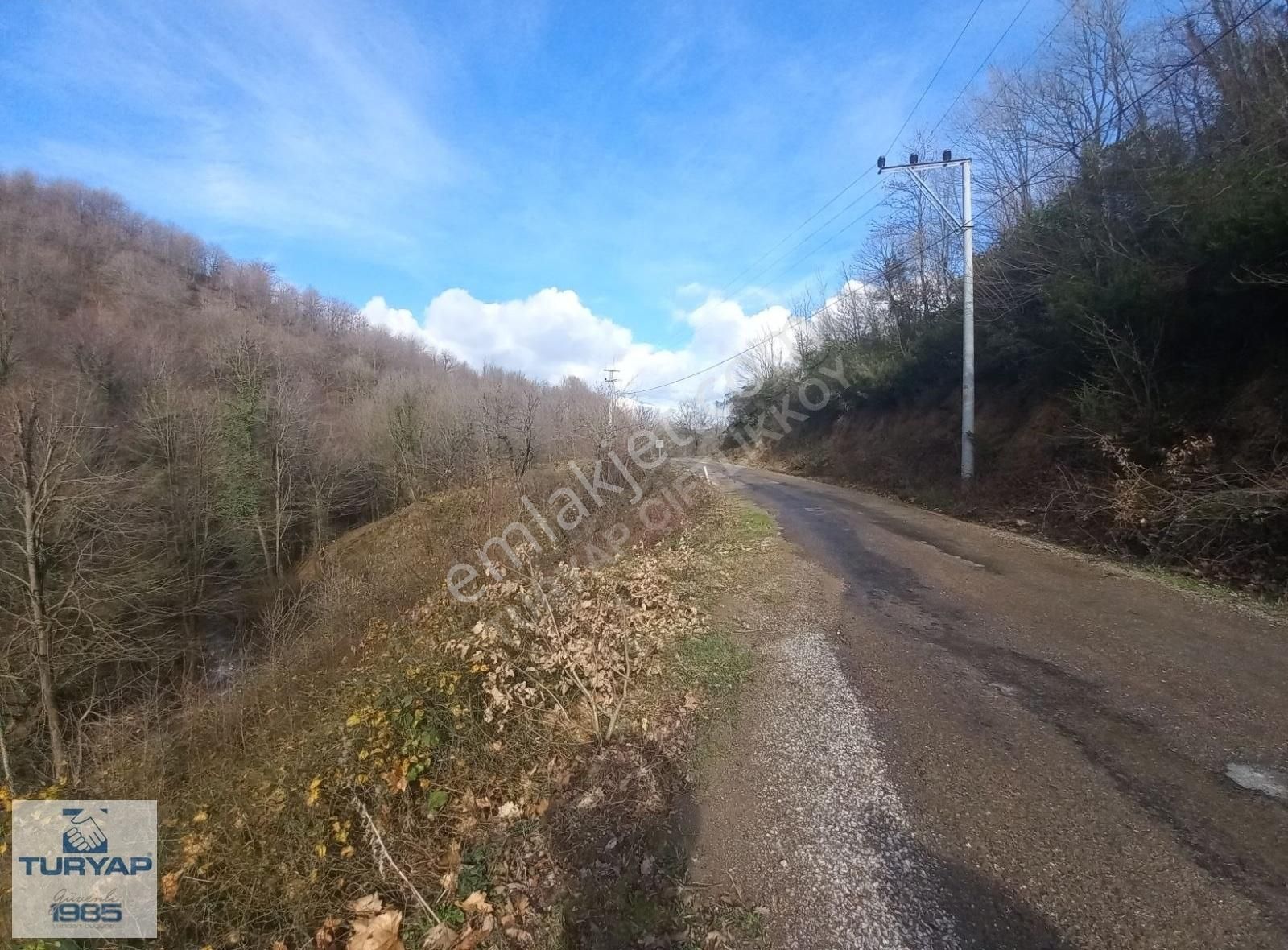 Yalova Merkez Kurtköy De Mükemmel Konumda Satılık 2700 M2 Bahçe