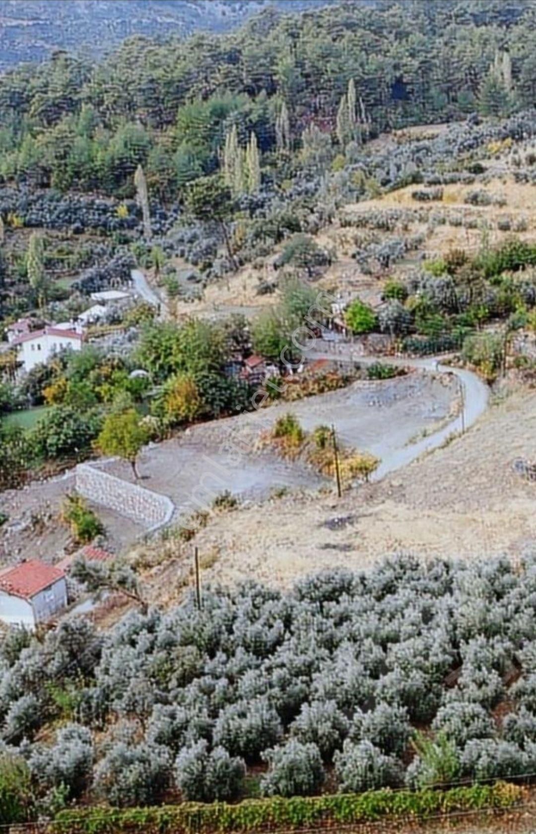 Köy İçi Konut İmarlı