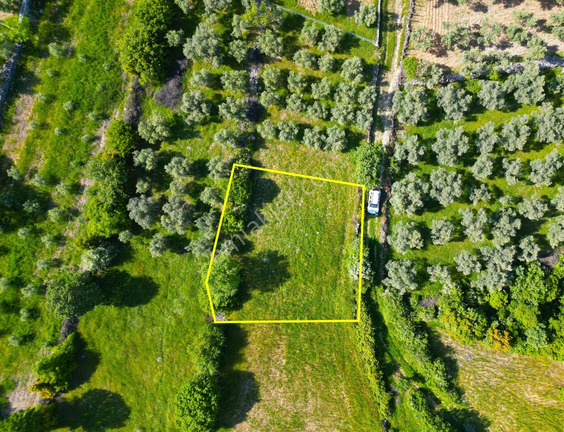 Muğla Yeniköy Mahallesinde Satılık İmarlı Arsa