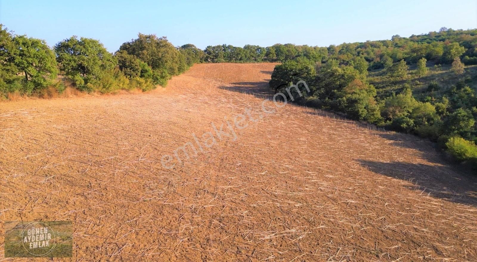 Gölete Yakın Ormana Cephe Hayvancılık İçin Uygun 9.867 M² Arazi