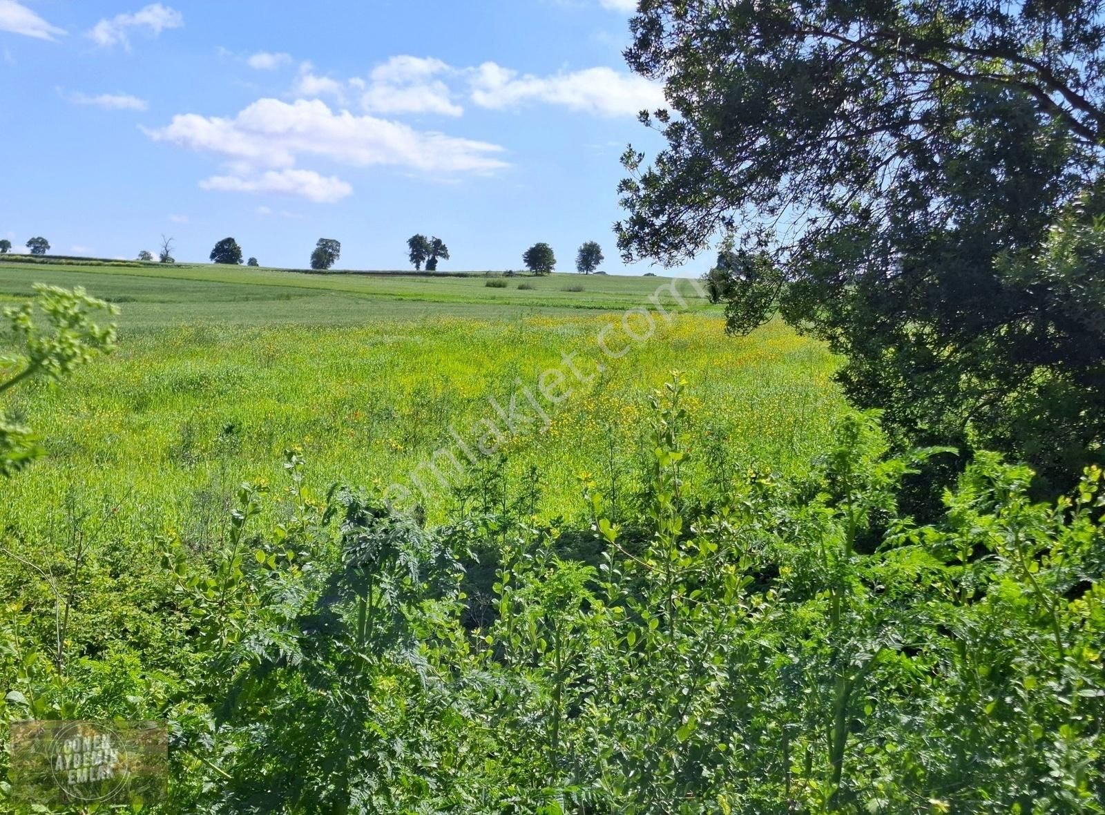 Gönen'e 10 Km Köye Yakın Mesafede Yatırımlık 4.500 M² Arazi