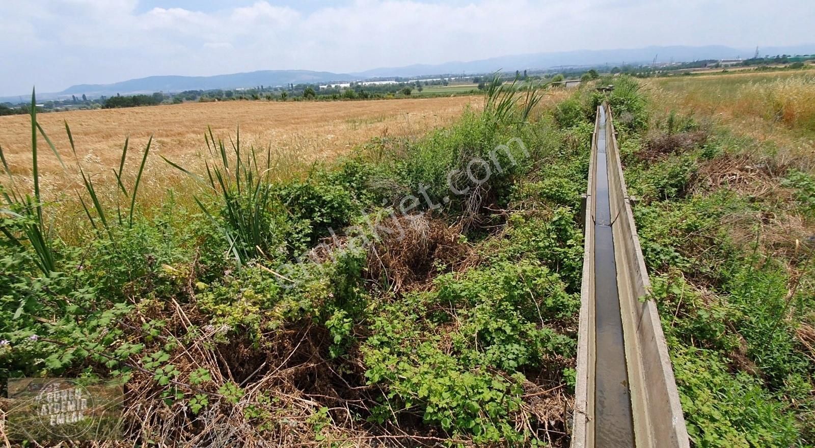 Gönen'e 1 Km Çift Yola Ve Çift Su Kanalına Cephe 11.400 M2 Tarla