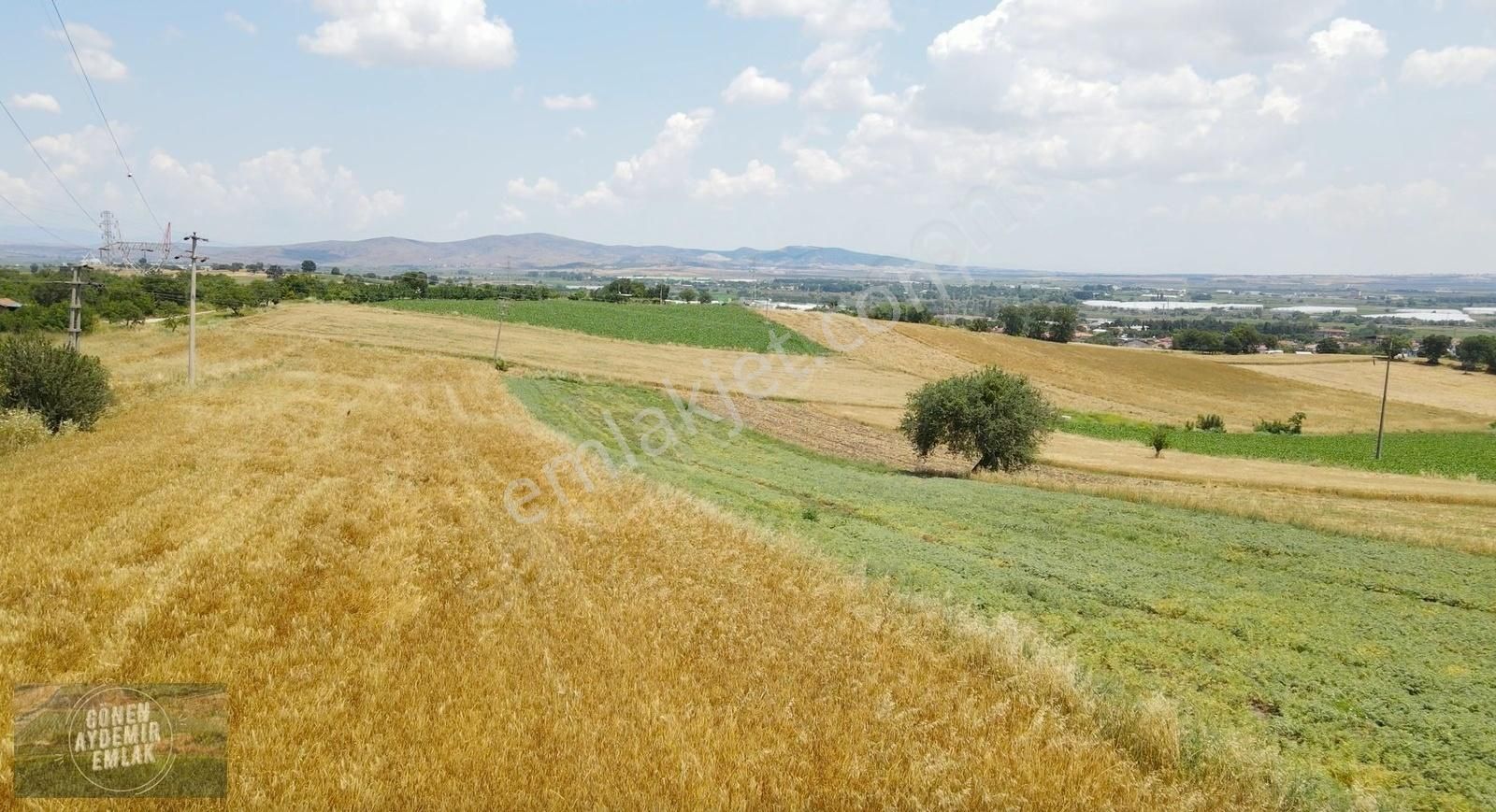 Gönenin İçinde Altay Mah. 6.770 M2 Tarla
