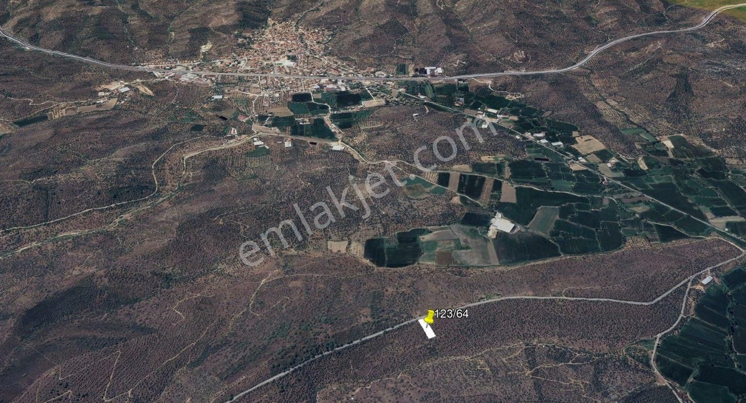 Muğla Milas Bafa Da Köye Yakın Konumda 1757 M2 Zeytinlik