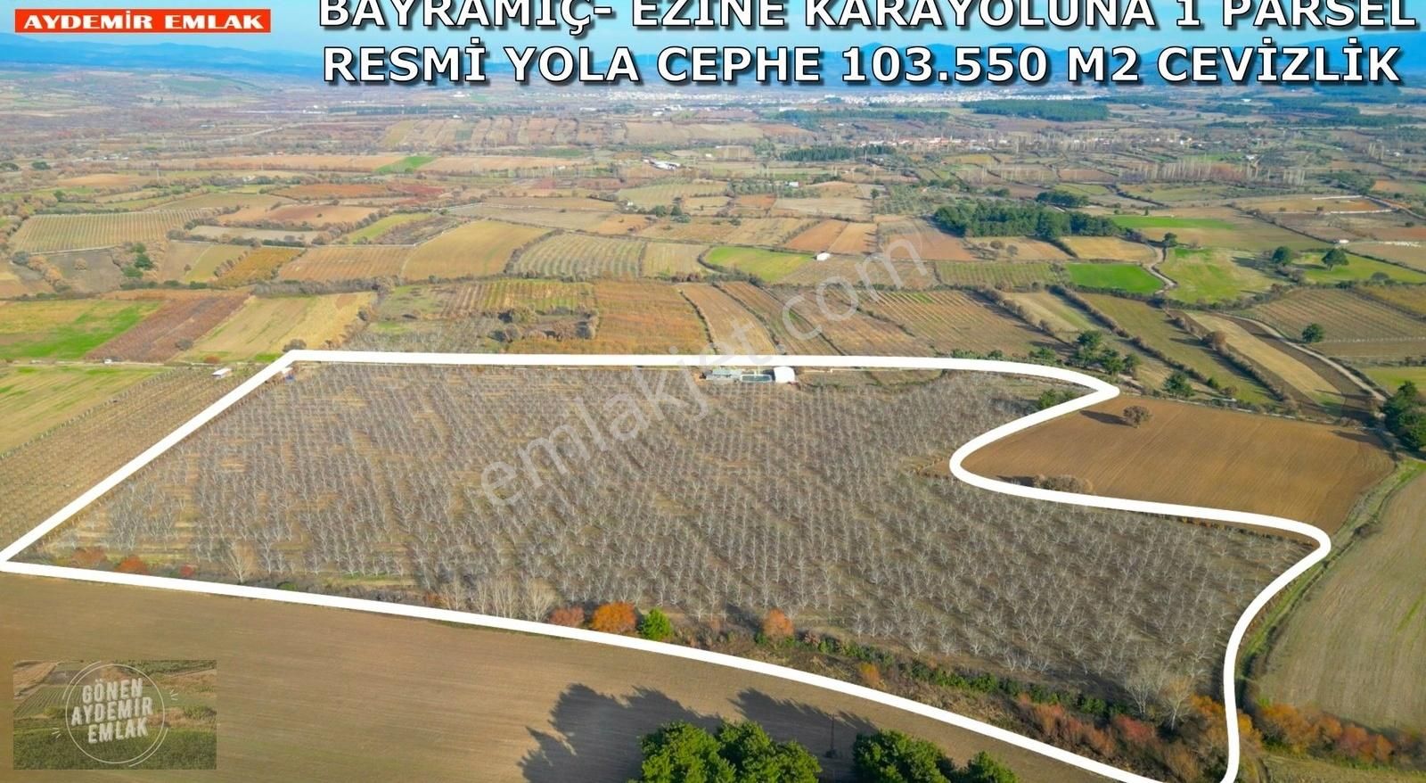 Çanakkale Bayramiç'te 103.550 M² Profesyonel Ceviz Bahçesi