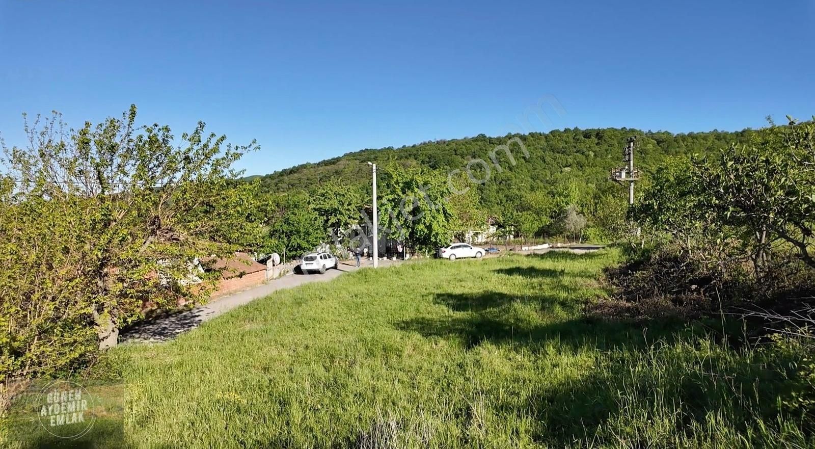 Ormanlar İçinde Asfalt Kenarı 1.004 M2 İmarlı Köy Arsası