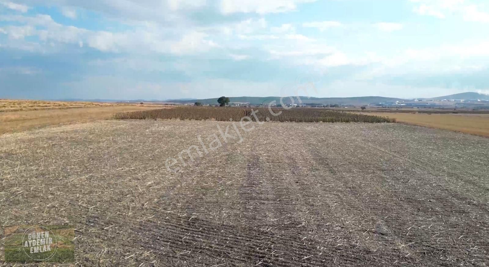 3 Osb Arasında Asfalta Yakın 8.050 M2 Değerli Tarla