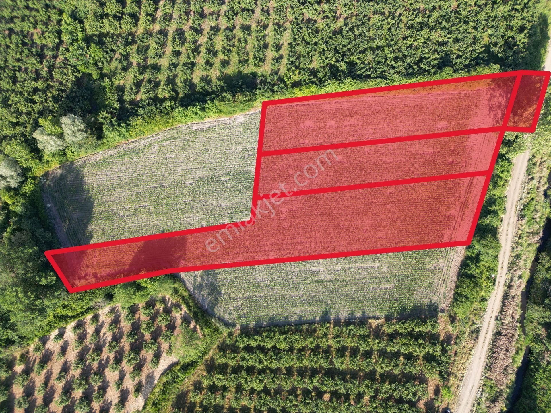 Düzce Sanayi Bölgesinde Yatırımlık 5.180 M² Satılık Arsa