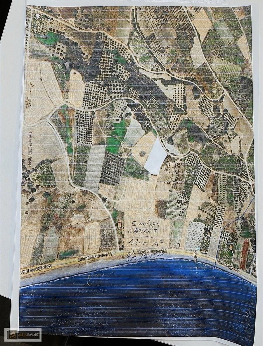 Tekirdağ Şarköy Gaziköyde Deniz E Yakın 4294 M2 Tarla Satılık