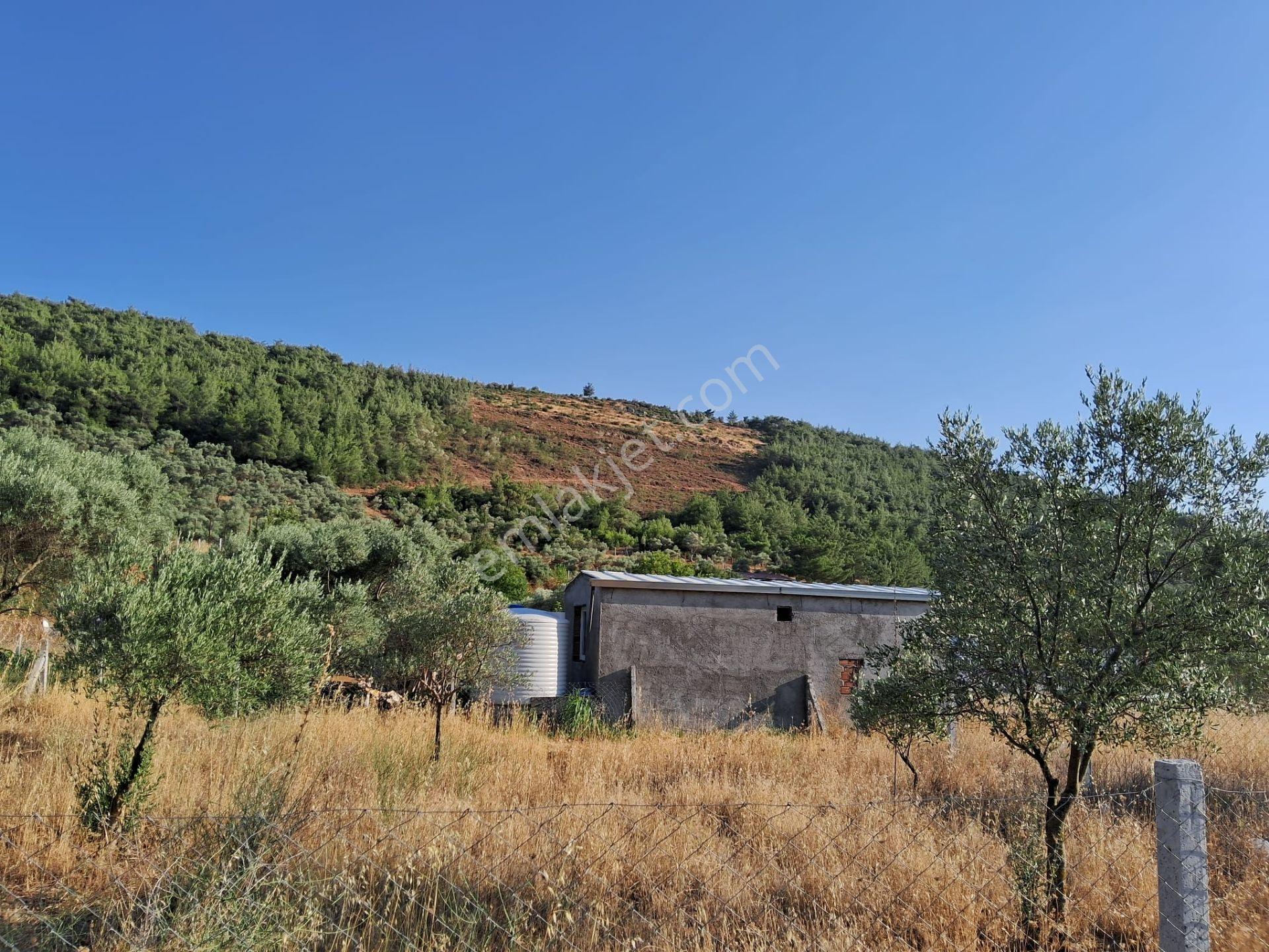 Acill Torbalı Karakızlarda 308m2 Elektrık Suyu Mevcut Tarla Otobüs Durağı Dibinde - Görsel 6