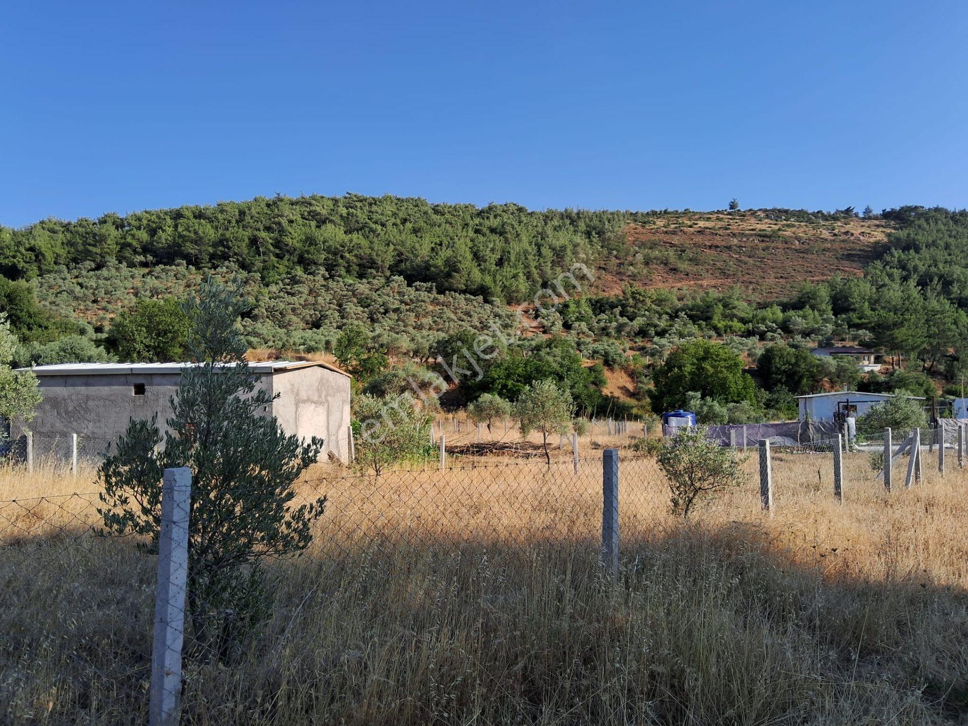 Acill Torbalı Karakızlarda 308m2 Elektrık Suyu Mevcut Tarla Otobüs Durağı Dibinde - Görsel 8
