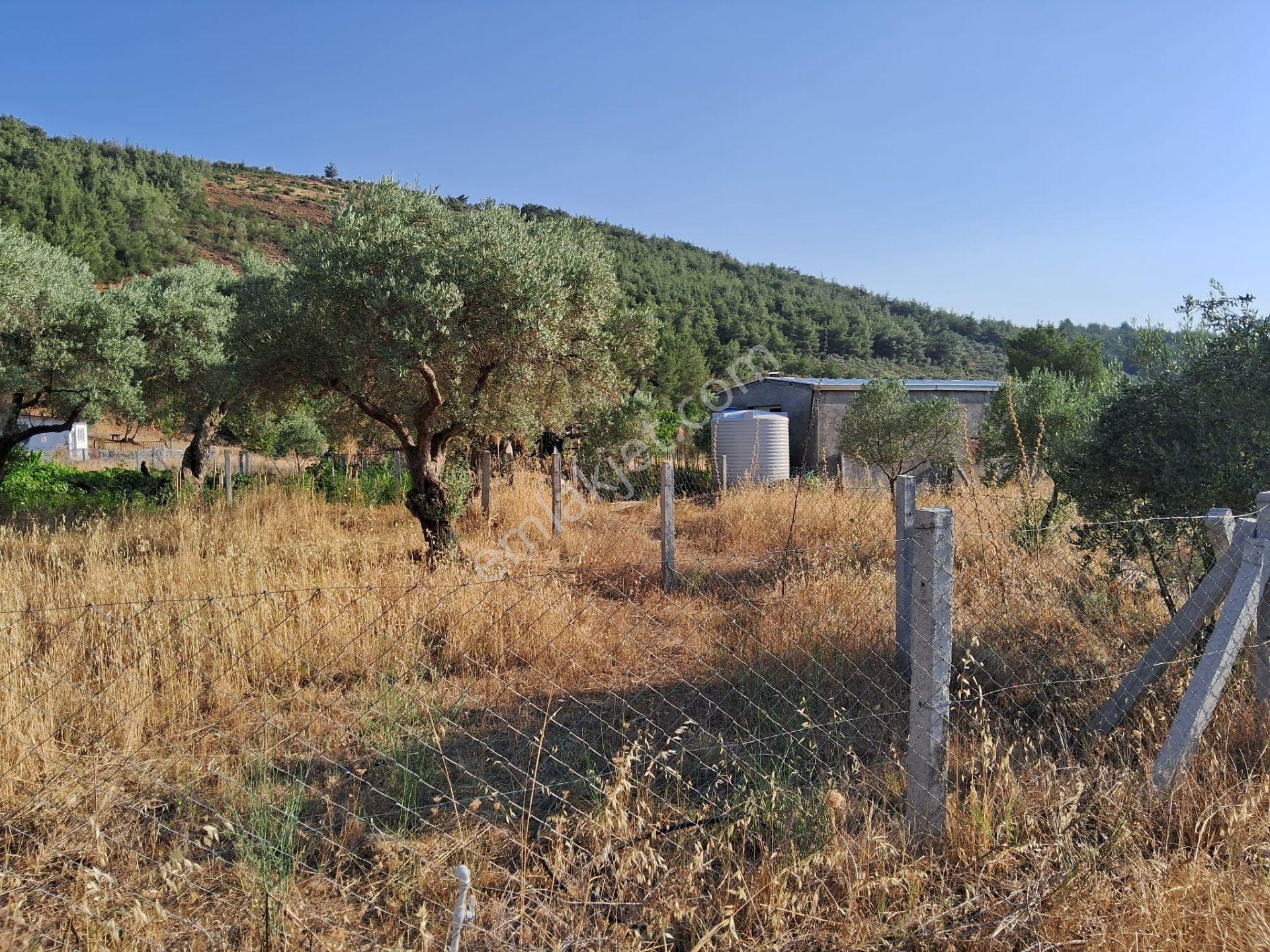 Acill Torbalı Karakızlarda 308m2 Elektrık Suyu Mevcut Tarla Otobüs Durağı Dibinde - Görsel 9