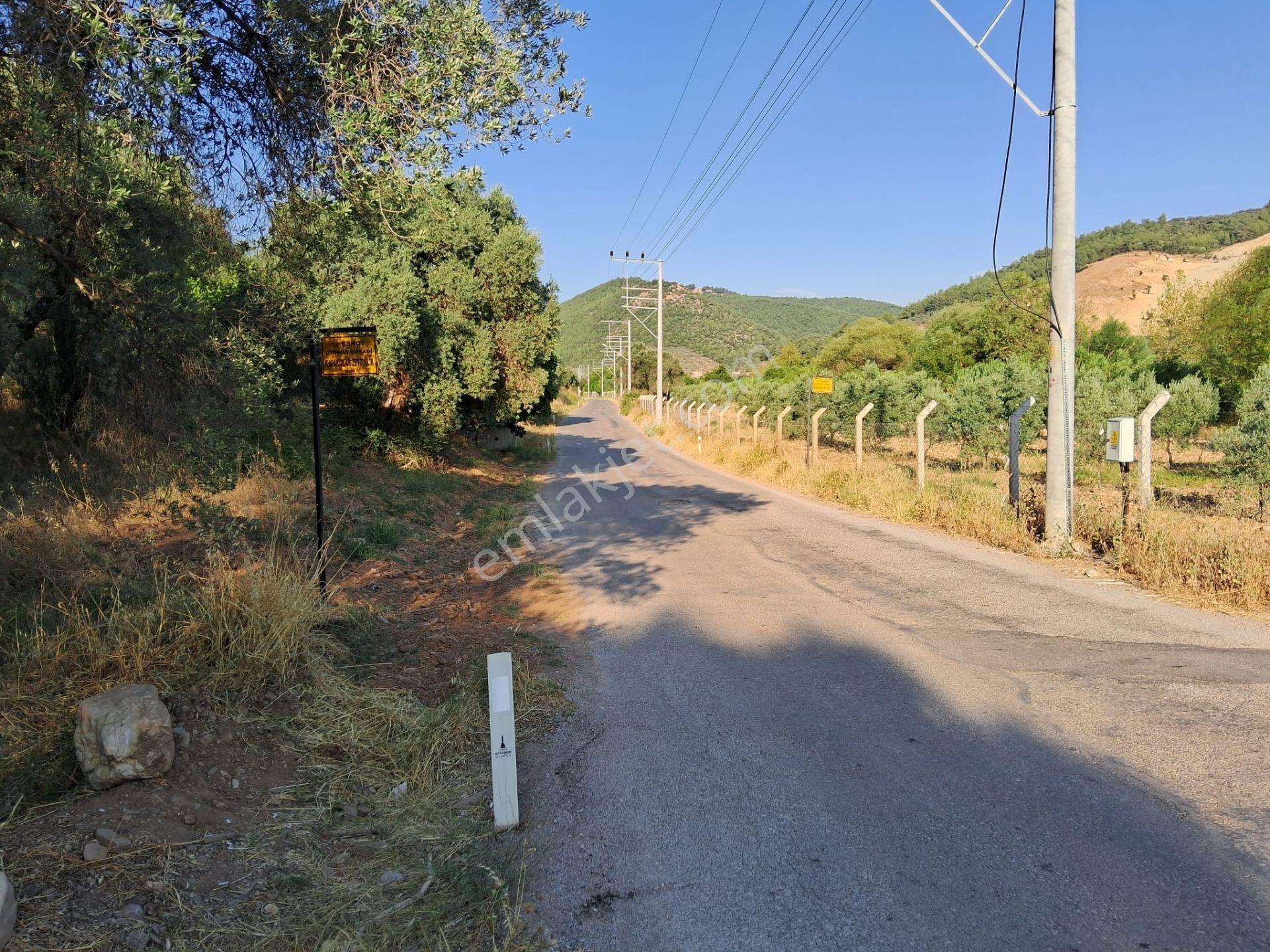 Acill Torbalı Karakızlarda 308m2 Elektrık Suyu Mevcut Tarla Otobüs Durağı Dibinde - Görsel 2
