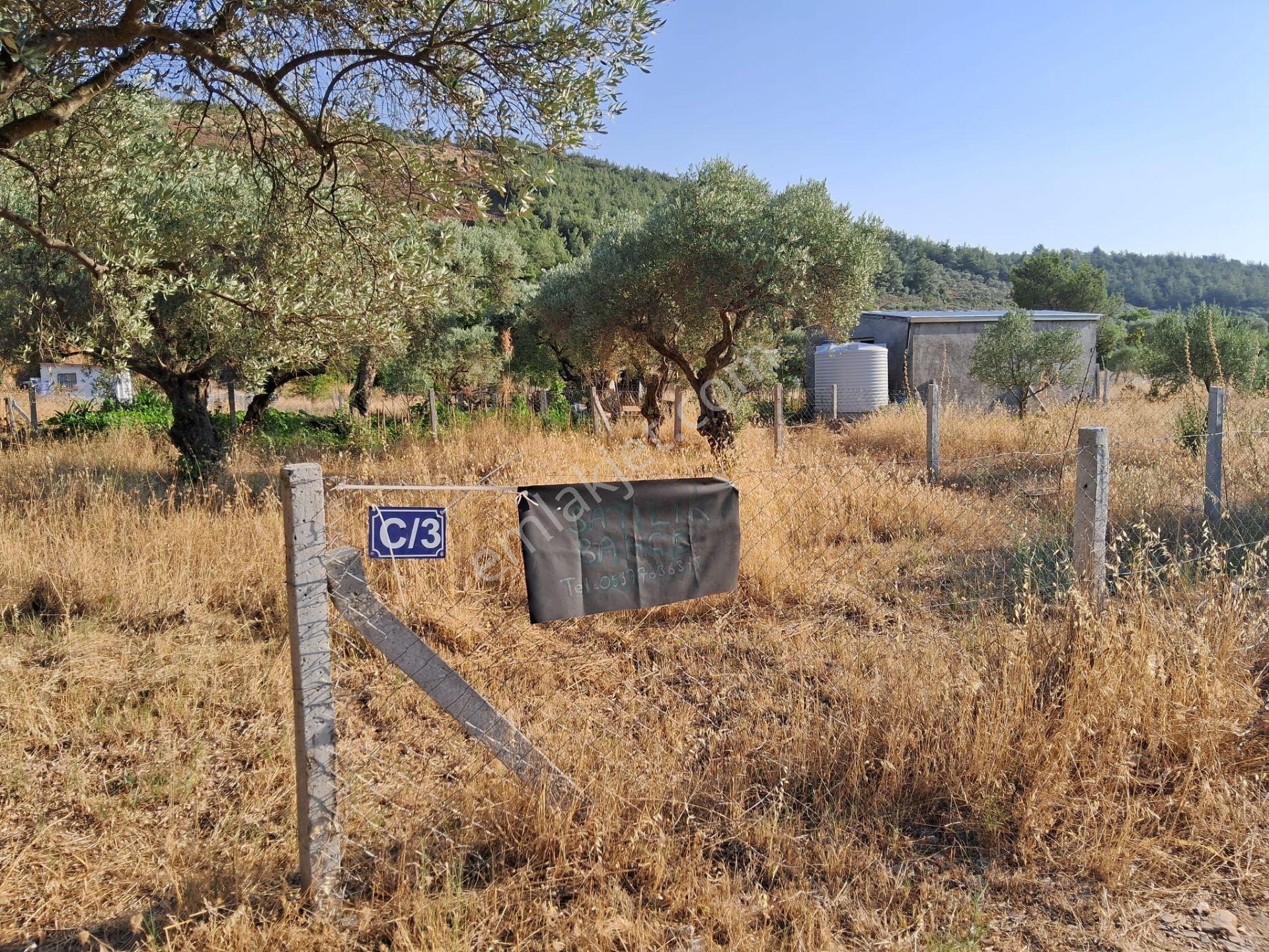 Acill Torbalı Karakızlarda 308m2 Elektrık Suyu Mevcut Tarla Otobüs Durağı Dibinde - Görsel 10