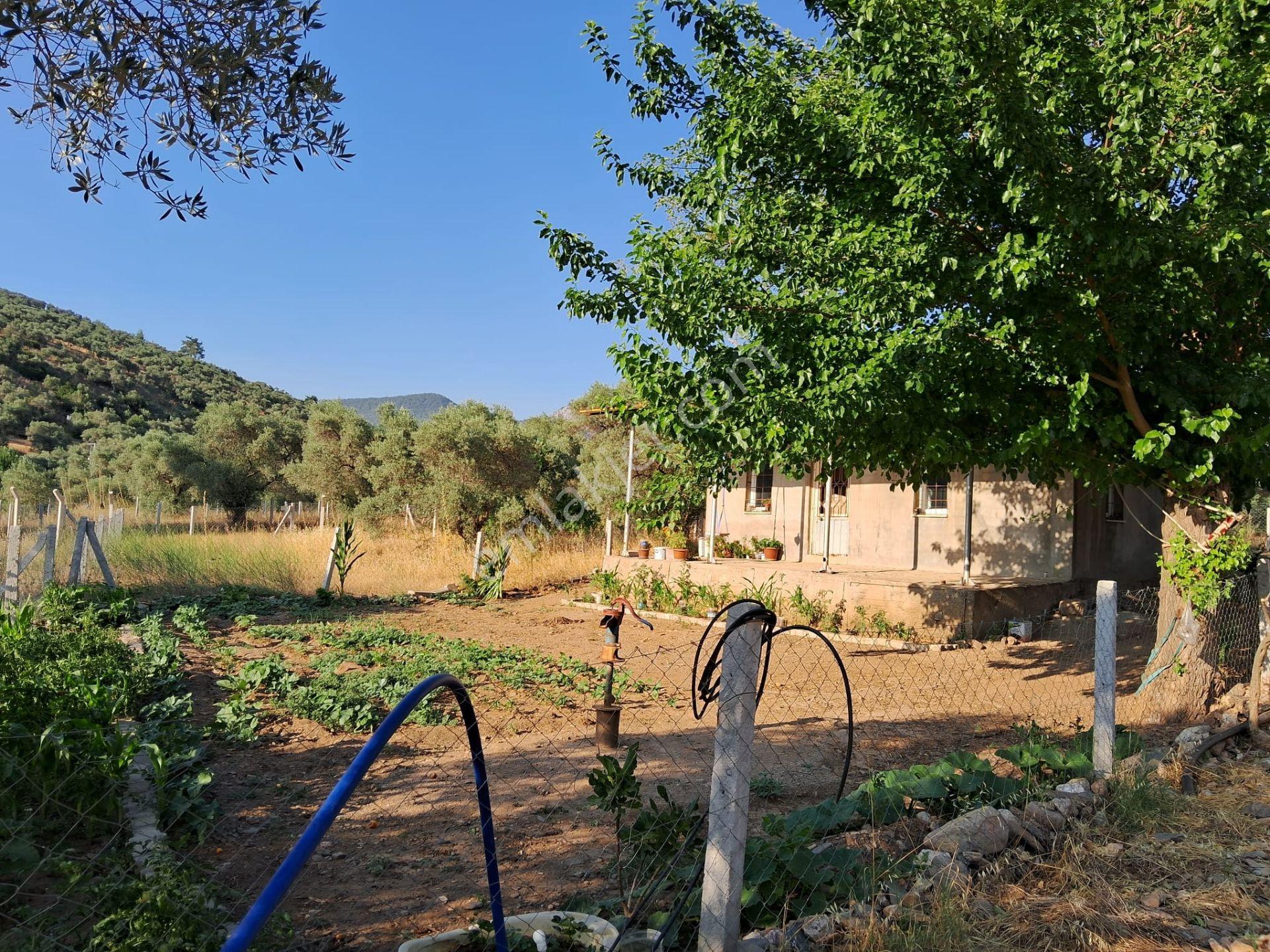 Acill Torbalı Karakızlarda 308m2 Elektrık Suyu Mevcut Tarla Otobüs Durağı Dibinde - Görsel 20