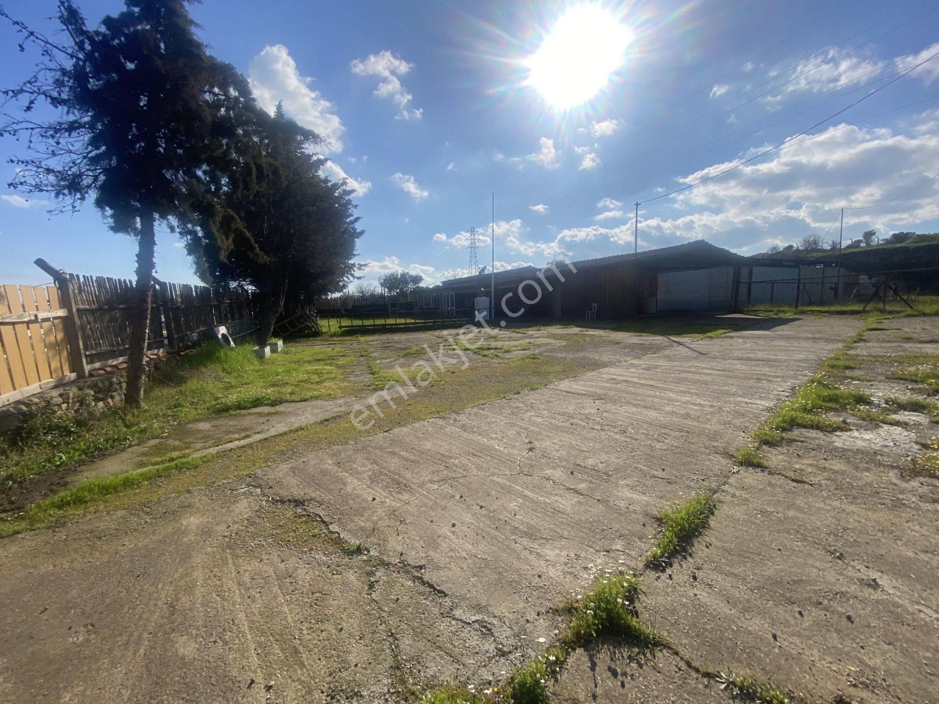 Balıkesir Ayvalık Ta Satılık 21,919 Metre Kare Arsa.ana Yola 36 Metre Cephelidir - Görsel 8