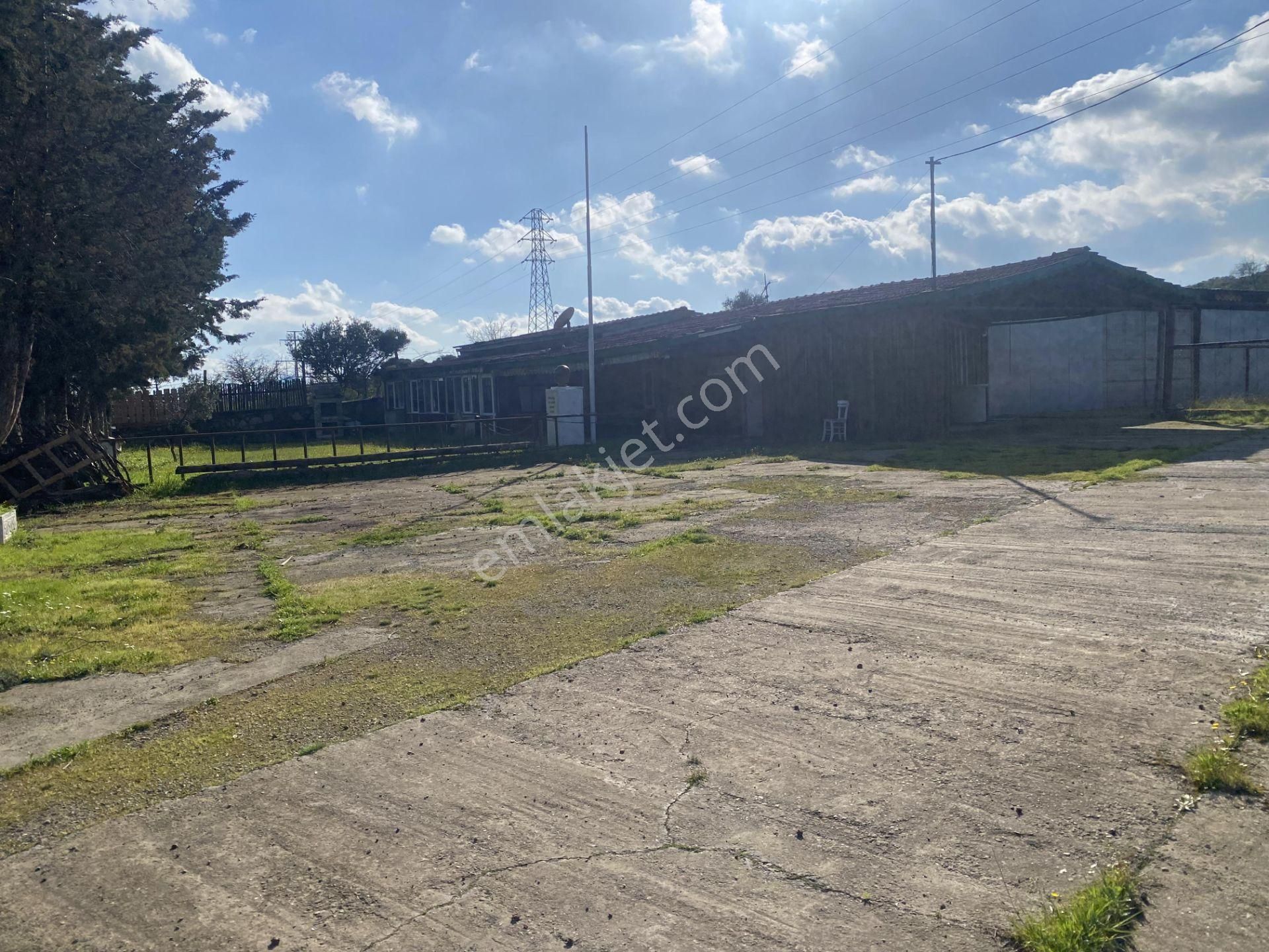 Balıkesir Ayvalık Ta Satılık 21,919 Metre Kare Arsa.ana Yola 36 Metre Cephelidir - Görsel 7