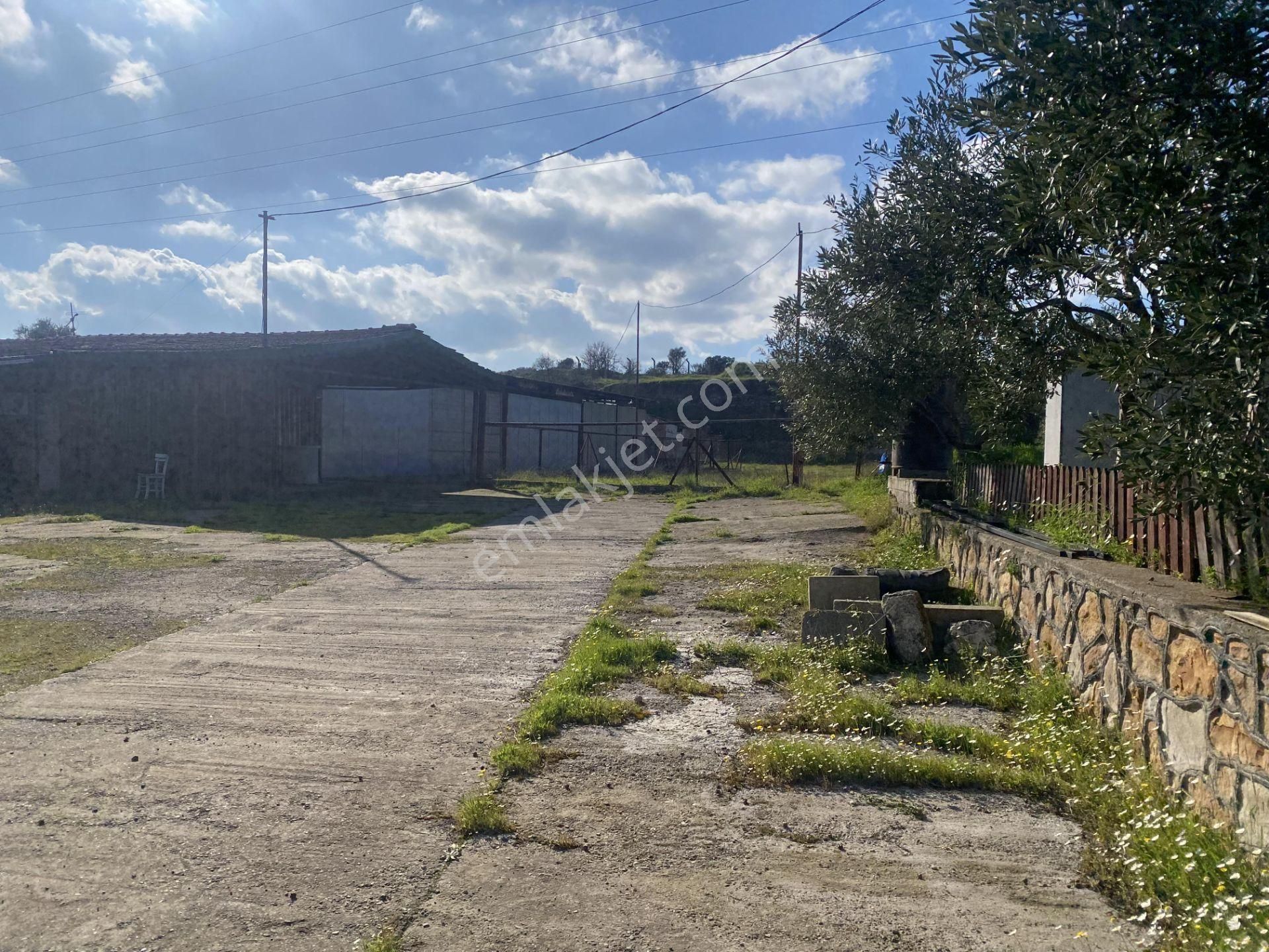 Balıkesir Ayvalık Ta Satılık 21,919 Metre Kare Arsa.ana Yola 36 Metre Cephelidir - Görsel 9