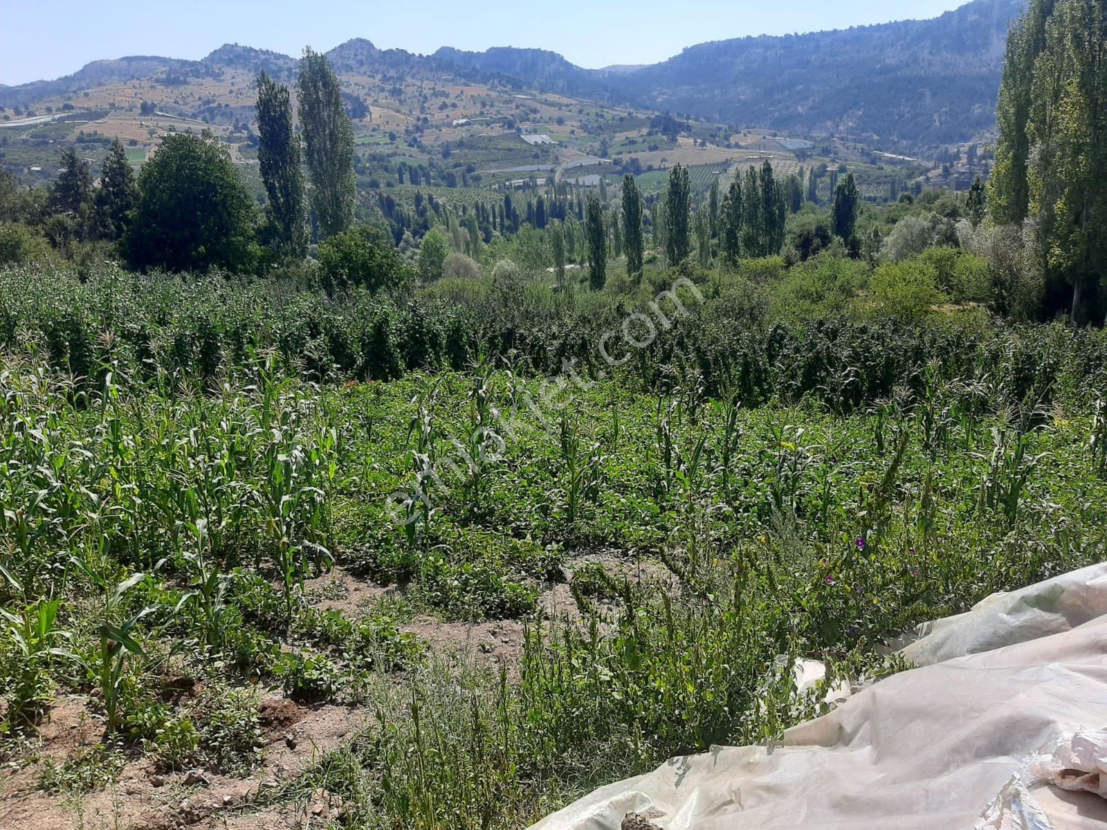 Mersin Erdemli Sorgun Yaylasında Satılık 3,5 Dönüm Yer - Görsel 14