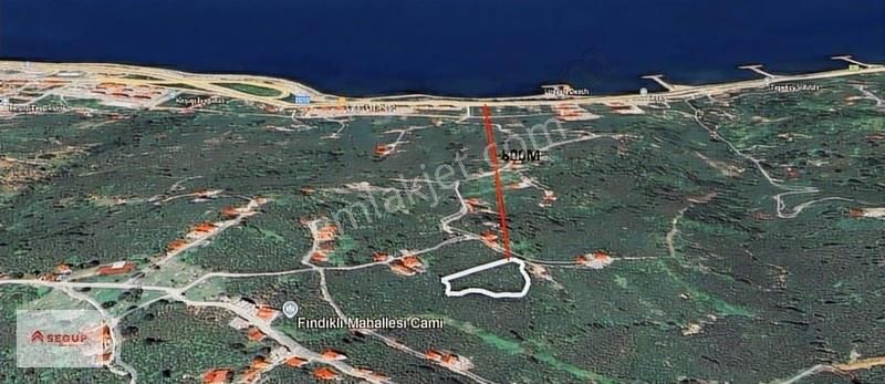 Segup'tan Fırsat Arazi (fındık Bahçesi) -4
