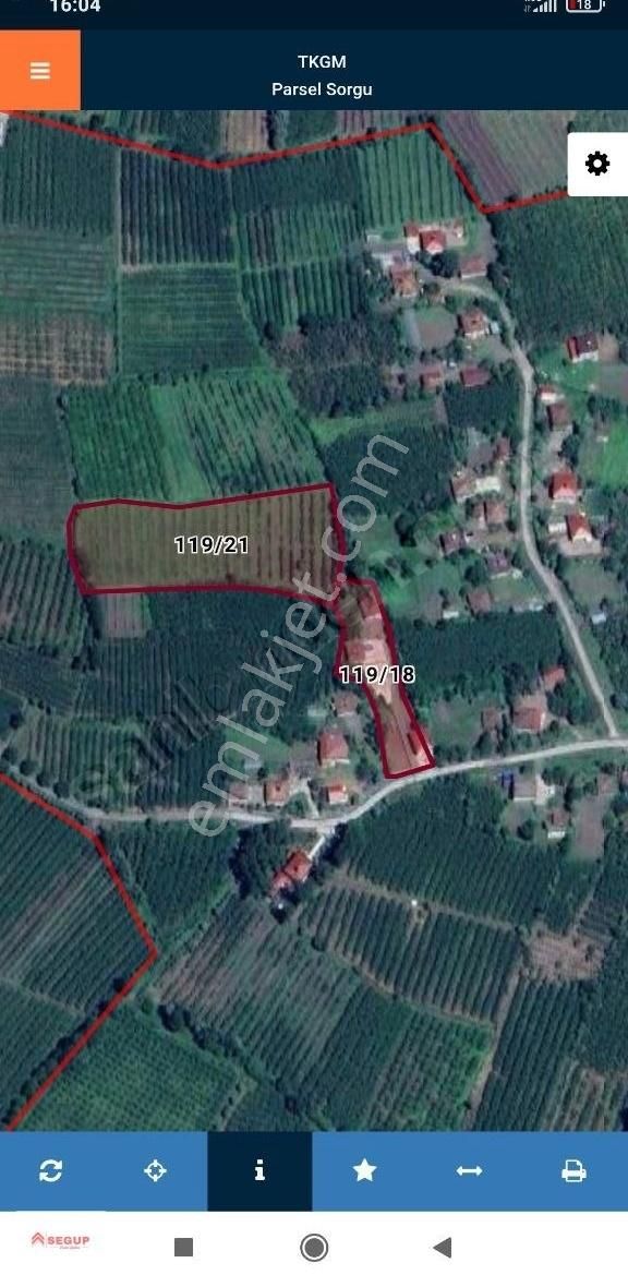Samsun Terme Gündoğdu Mah. Satılık Ev Ve Fındık Bahçesi (13)