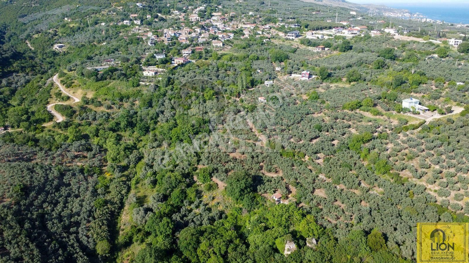 🟨⬛lıon Emlak'tan Erdek Hamamlı Mahallesi Kadastro Yoluna Yakın Satılık 1533m² Zeytinlik⬛🟨 - Görsel 17