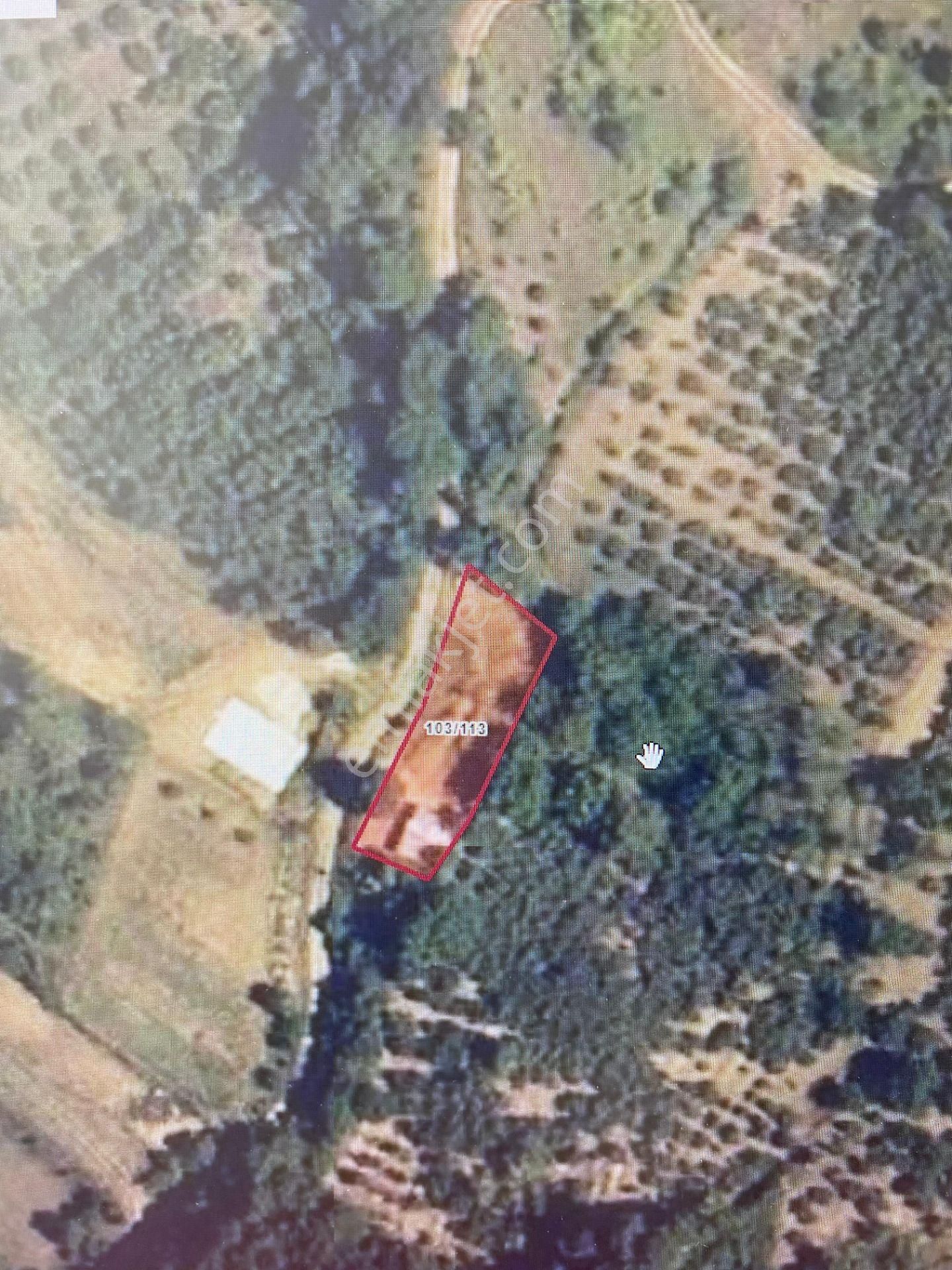 Bursa Yenişehir Süleymaniye Köyün'de Yatırımlık Tarla