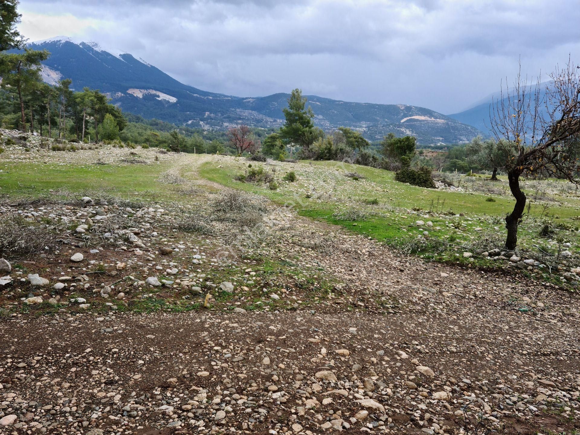 Sahibinden Kaş Doğantaş Mahallesi Tek Tapu 5800 M2 - Görsel 10