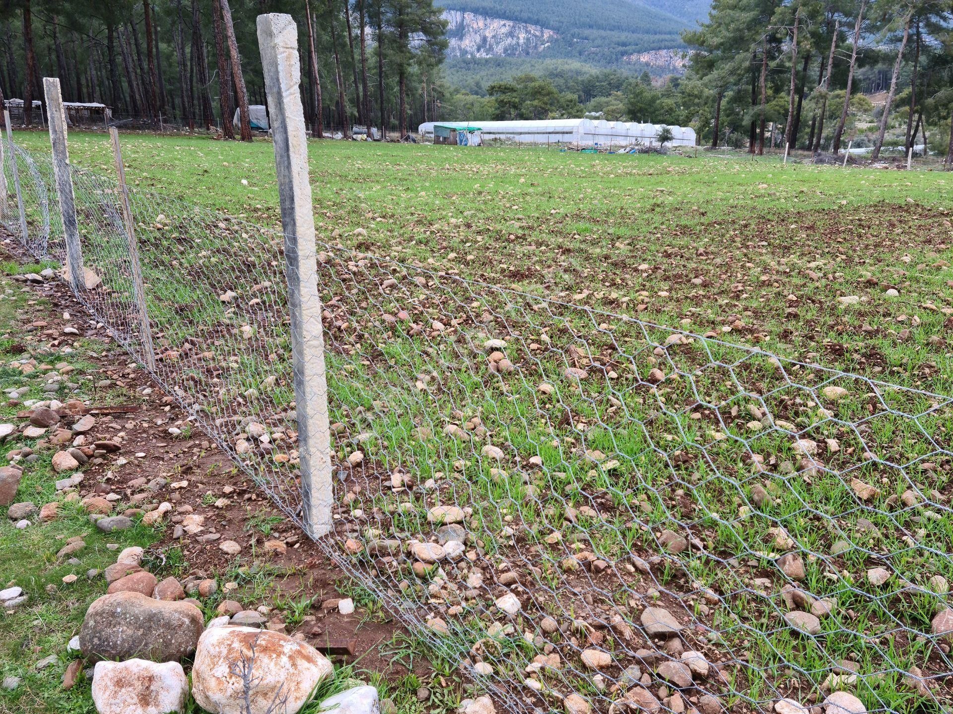 Sahibinden Kaş Doğantaş Mahallesi Tek Tapu 5800 M2
