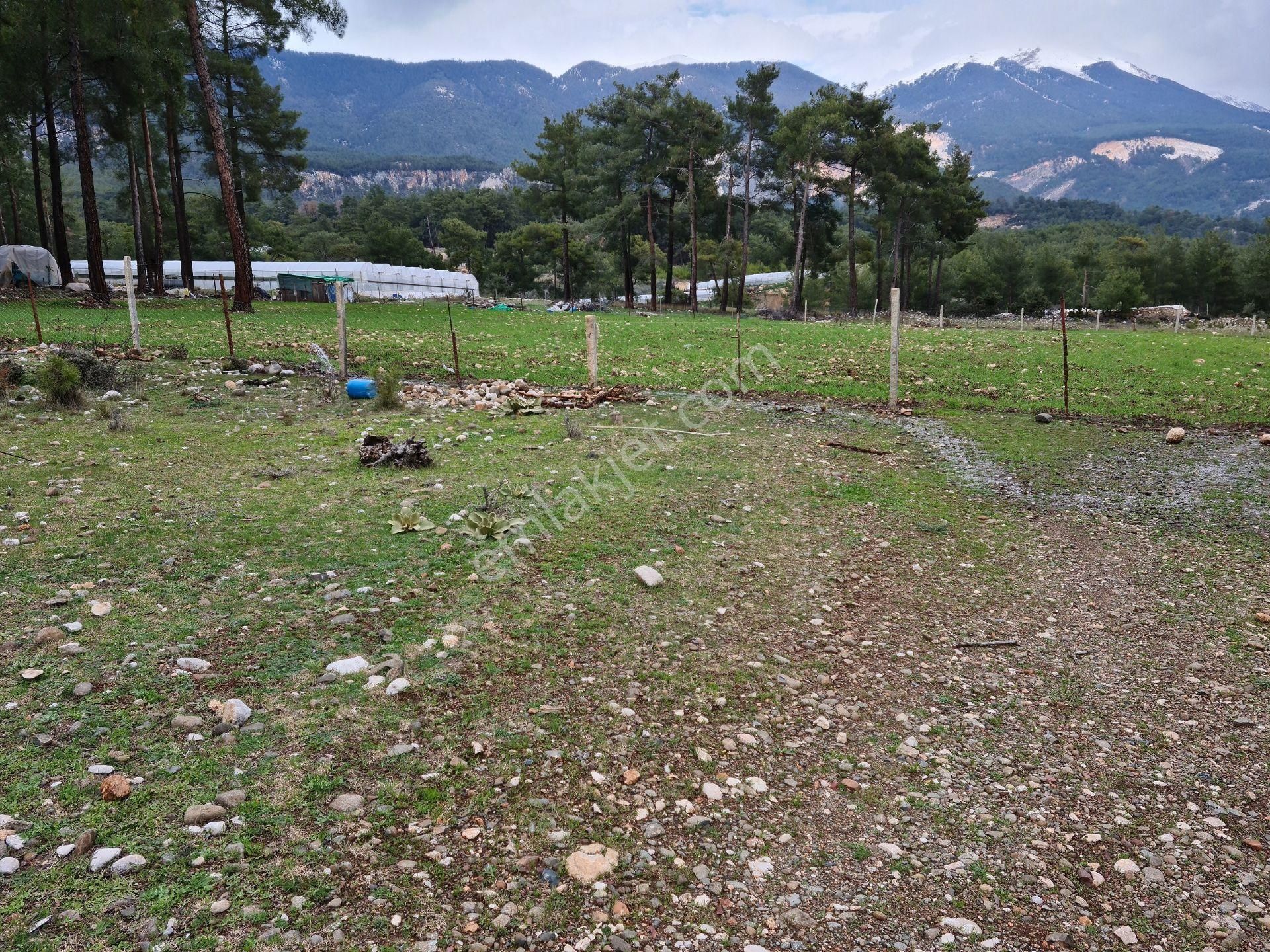 Sahibinden Kaş Doğantaş Mahallesi Tek Tapu 5800 M2 - Görsel 7