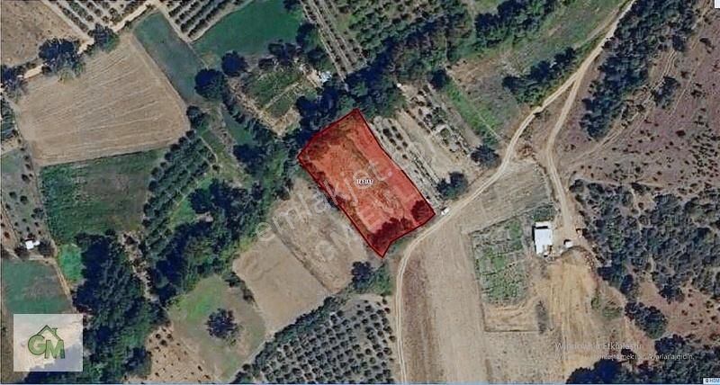 Gm Den Kestel Gölcükte Satılık 2.244m2 Tek Tapu Yatırımlık Bahçe