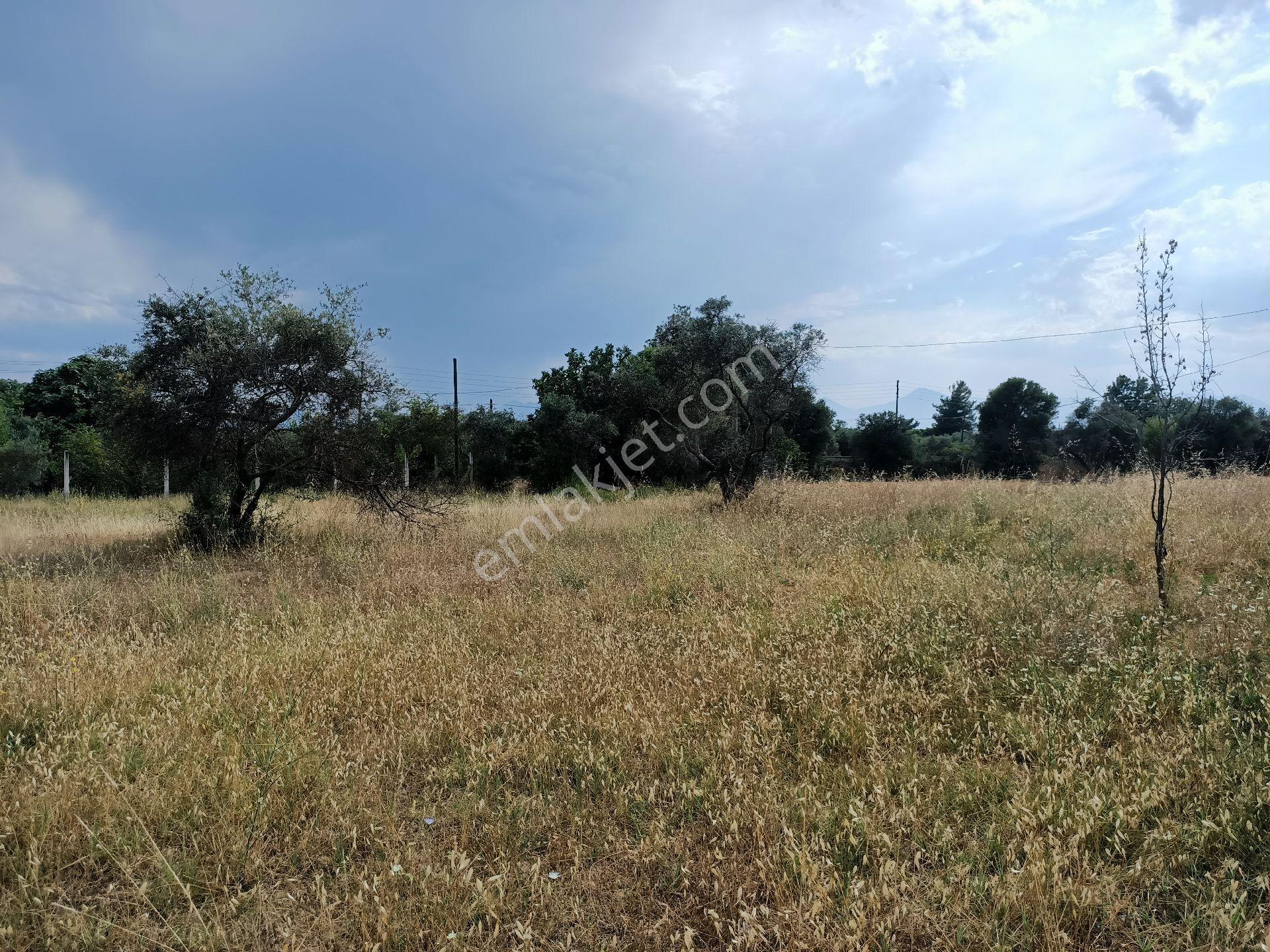 Acil Satılık İmarlı Arsa 472 M2 Antalya/kepez/ Odabaşı'nda ! - Görsel 13