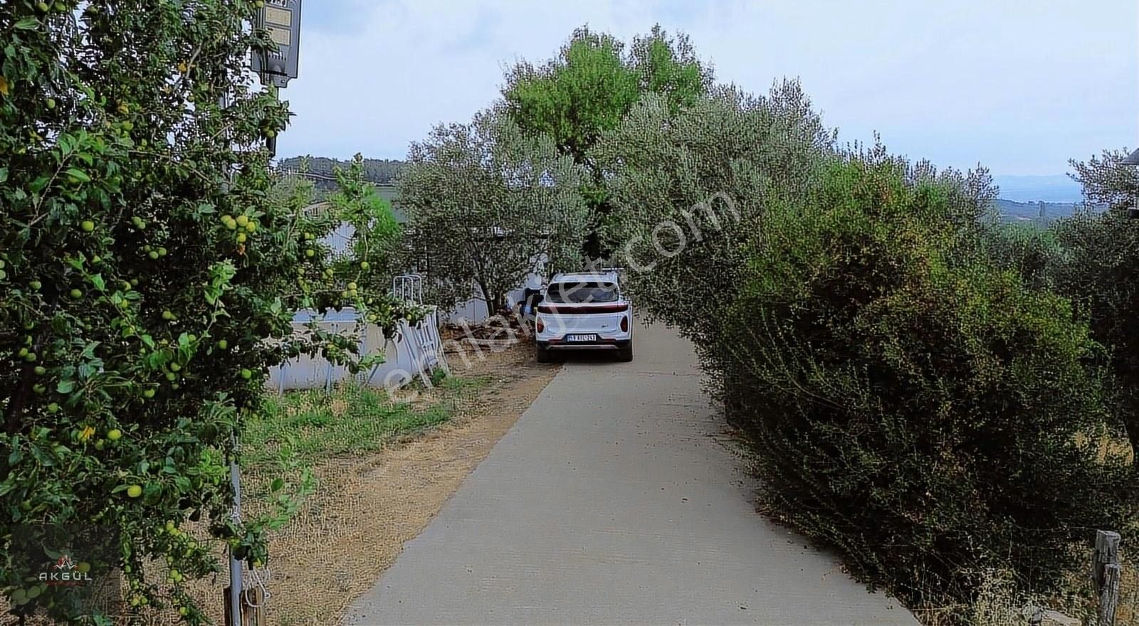 Bayramiç Örenli De 1.805 M² Tarla İçerisinde Satılık Müstakil Ev - Görsel 20