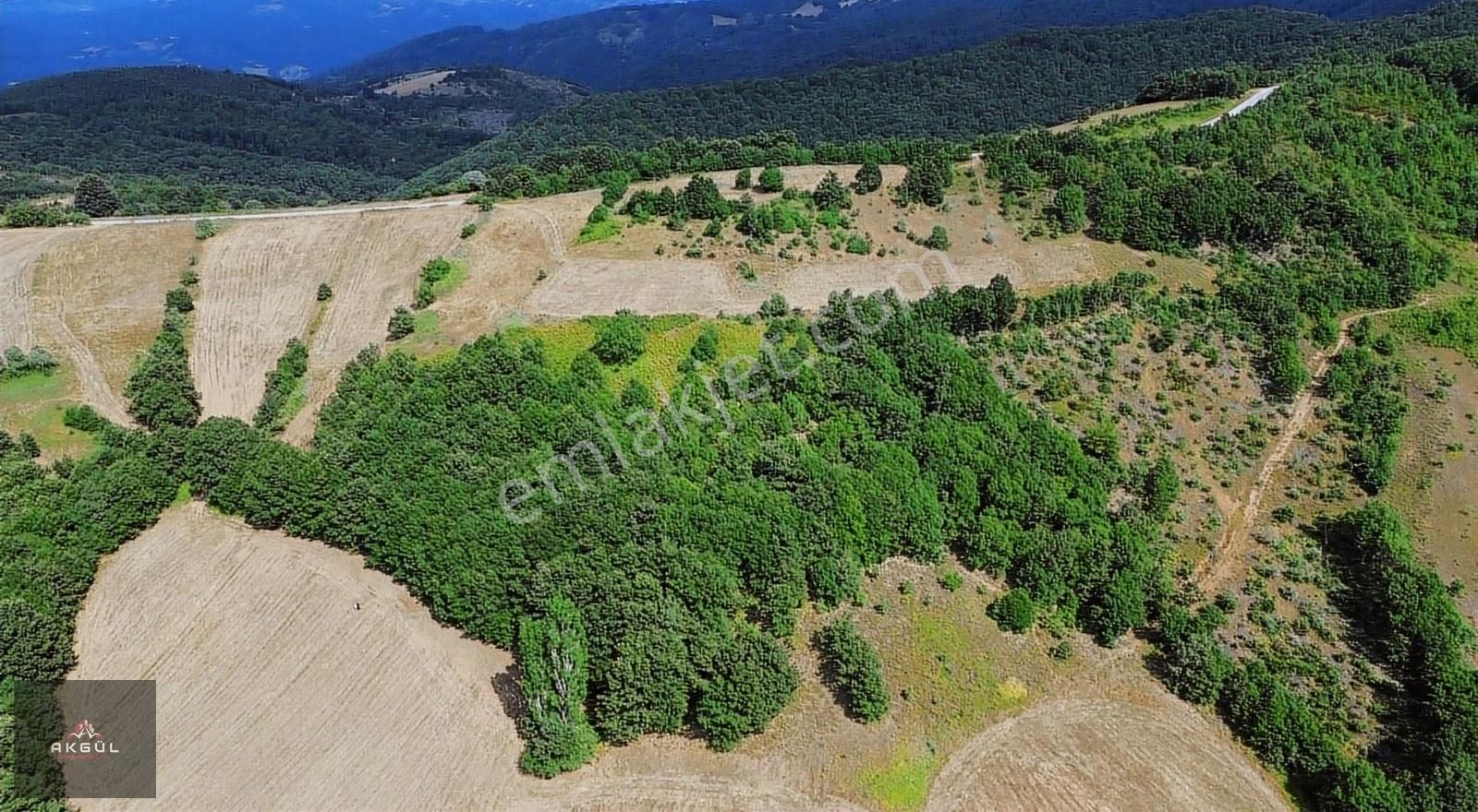 Biga Dikmen Köyünde 14 Dönüm Ana Yola Cephe Satılık Tarla - Görsel 4